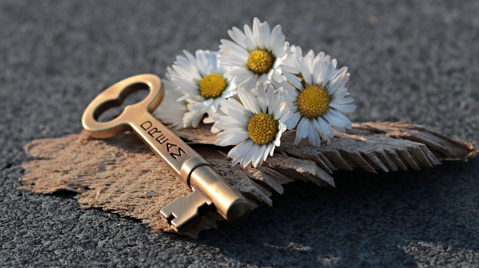 Canon EOS 80D sample photo. Key, heart, daisy photography