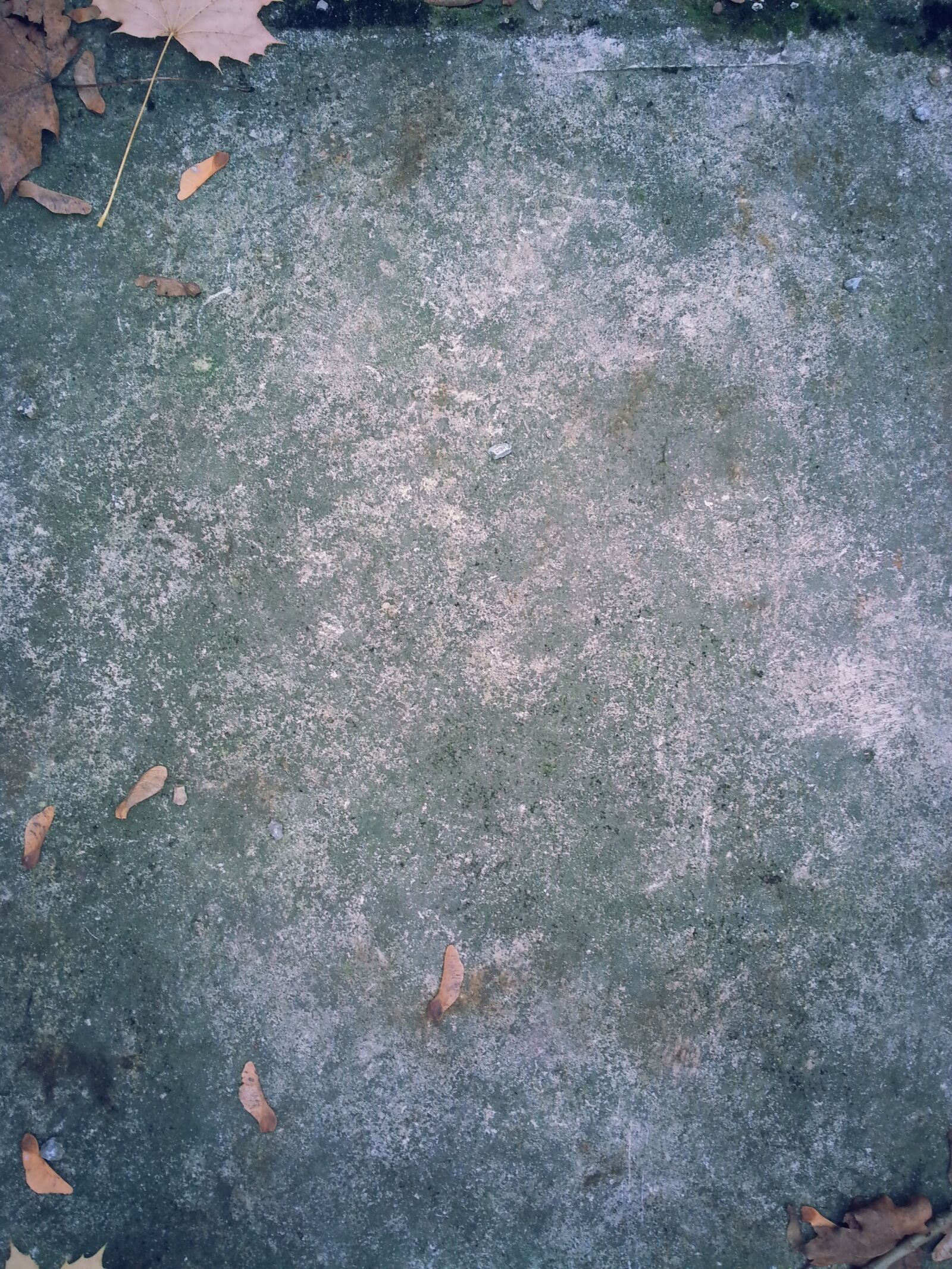 Samsung Galaxy S3 sample photo. Stone, ground, grunge photography