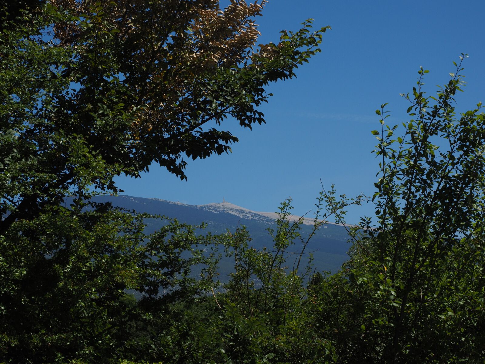 Olympus OM-D E-M1 + Olympus M.Zuiko Digital ED 12-40mm F2.8 Pro sample photo. Ventoux, mountain, provence photography