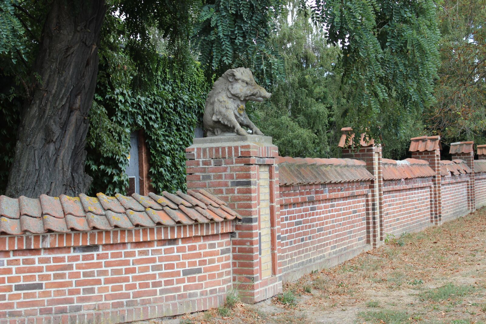 Canon EOS 600D (Rebel EOS T3i / EOS Kiss X5) sample photo. Castle wall, sculpture, pig photography