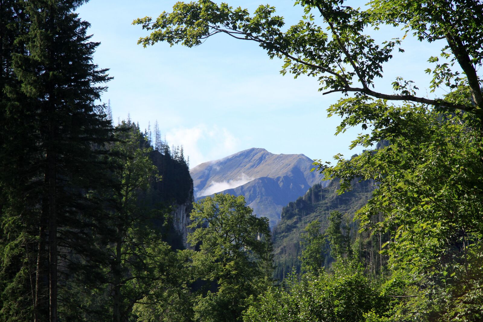 Canon EOS 50D sample photo. View, mountain, landscape photography