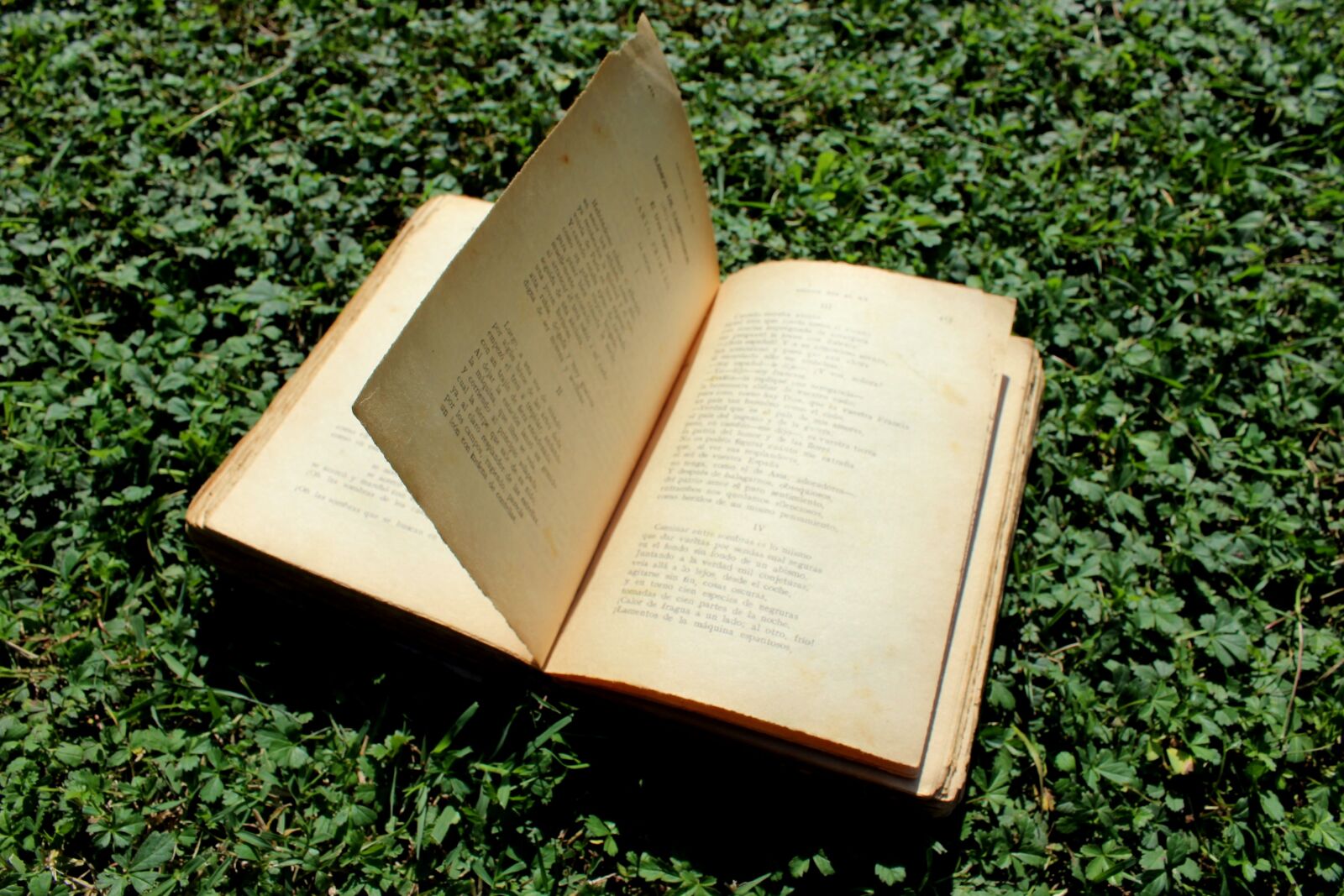 Canon EOS 1200D (EOS Rebel T5 / EOS Kiss X70 / EOS Hi) sample photo. Book, reading, autumn photography