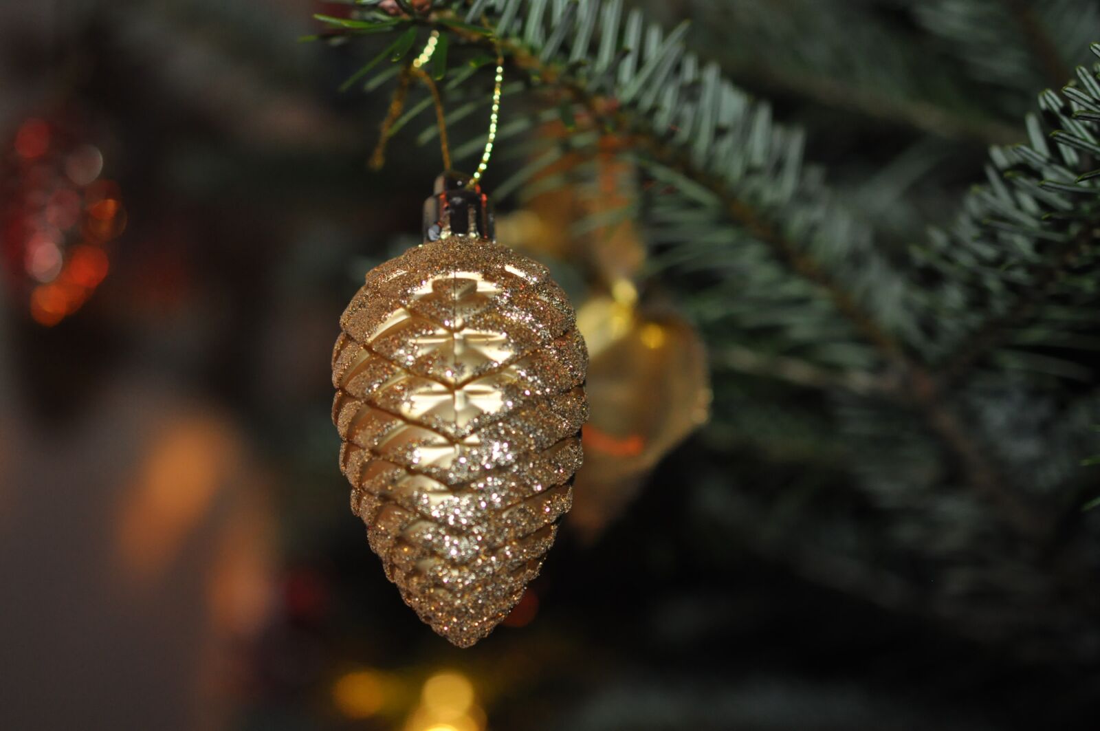 Nikon D90 sample photo. Weihnachtsbaumschmuck, pine cones, christmas photography