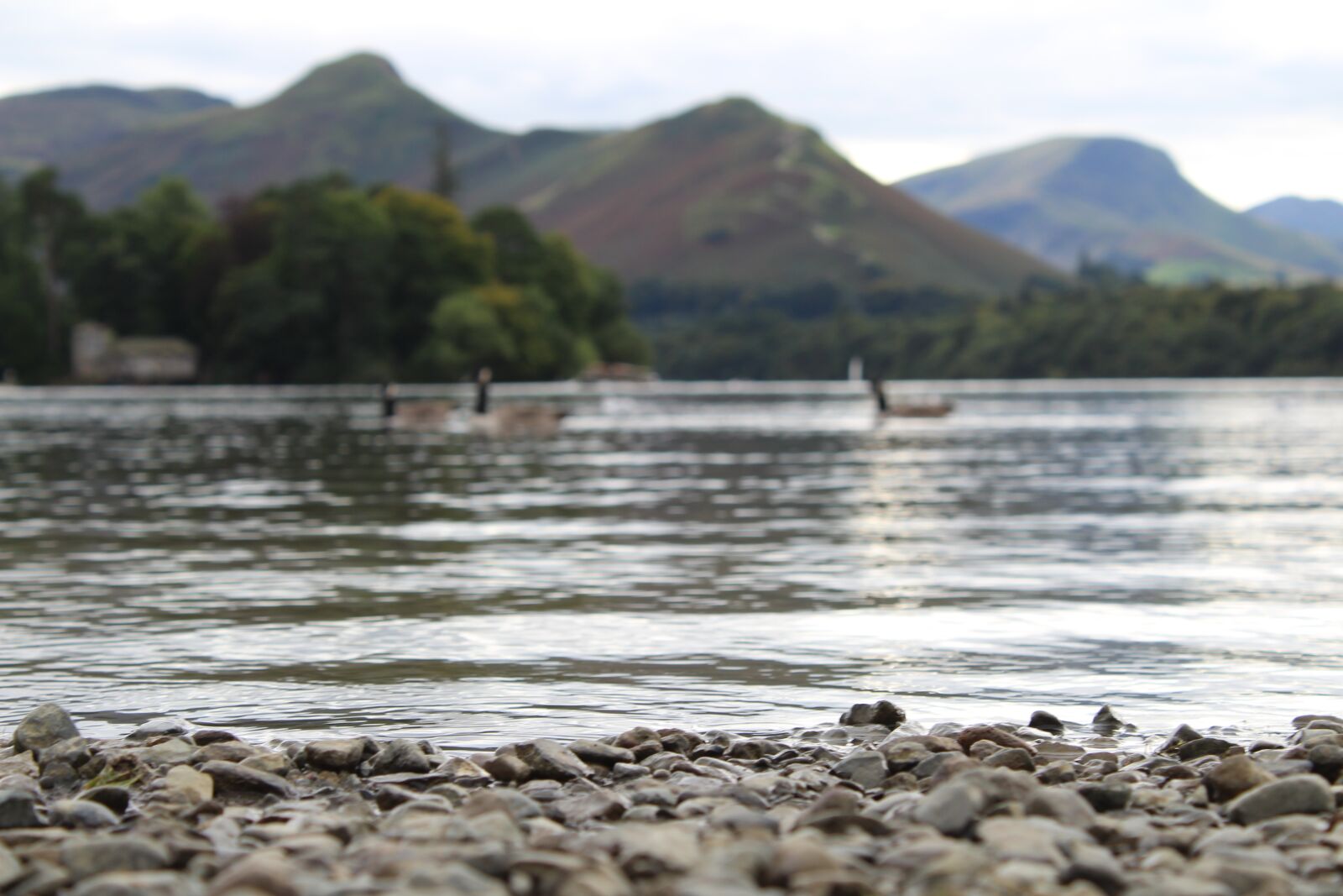 Canon EOS 1300D (EOS Rebel T6 / EOS Kiss X80) sample photo. Rocks, coast, lake photography