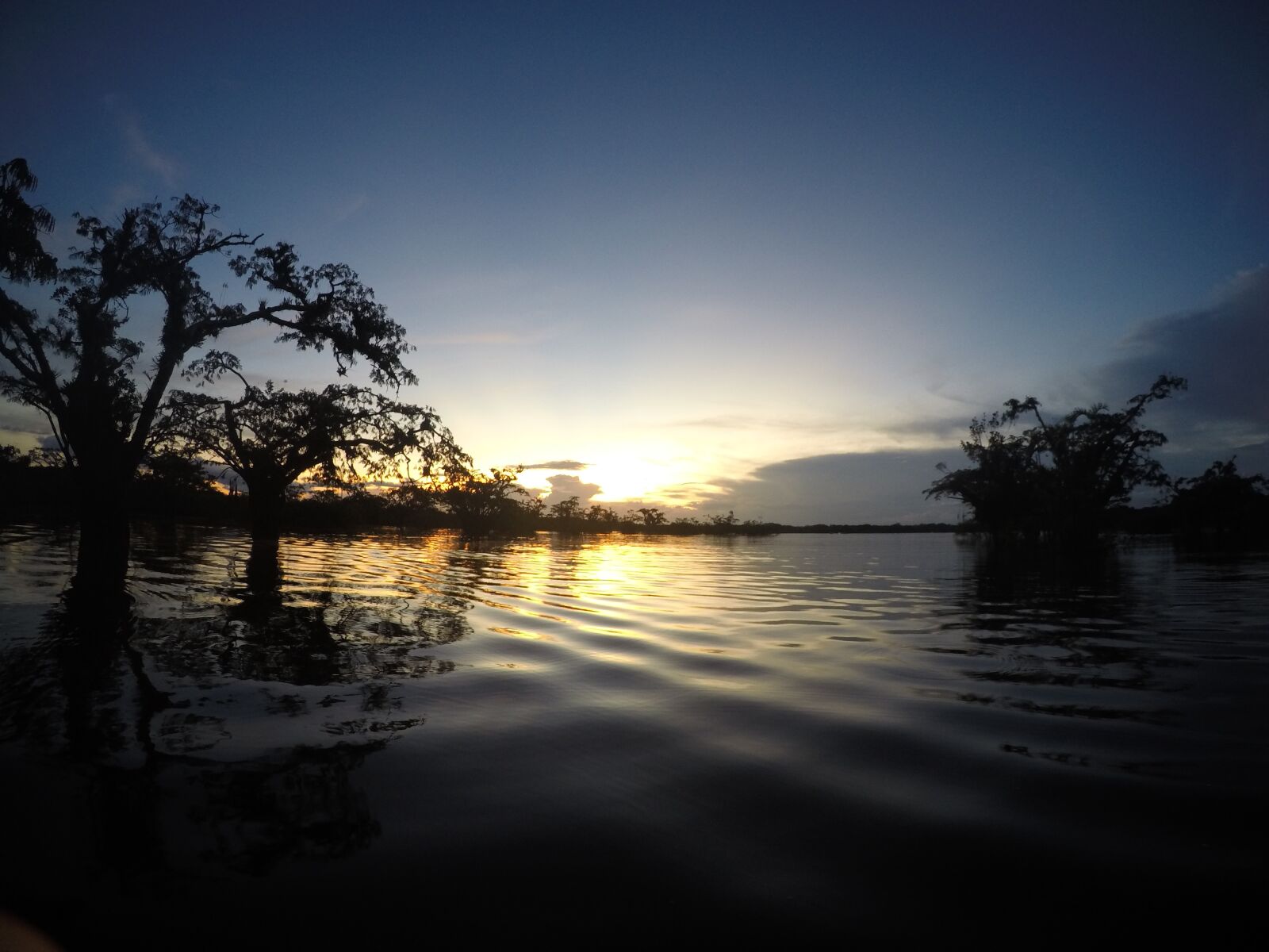 GoPro HERO4 Silver sample photo. Sunset, tree, forest photography