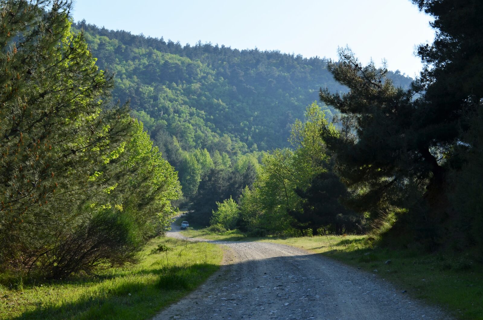 Nikon D5100 sample photo. Spring, scholarship, doburca photography