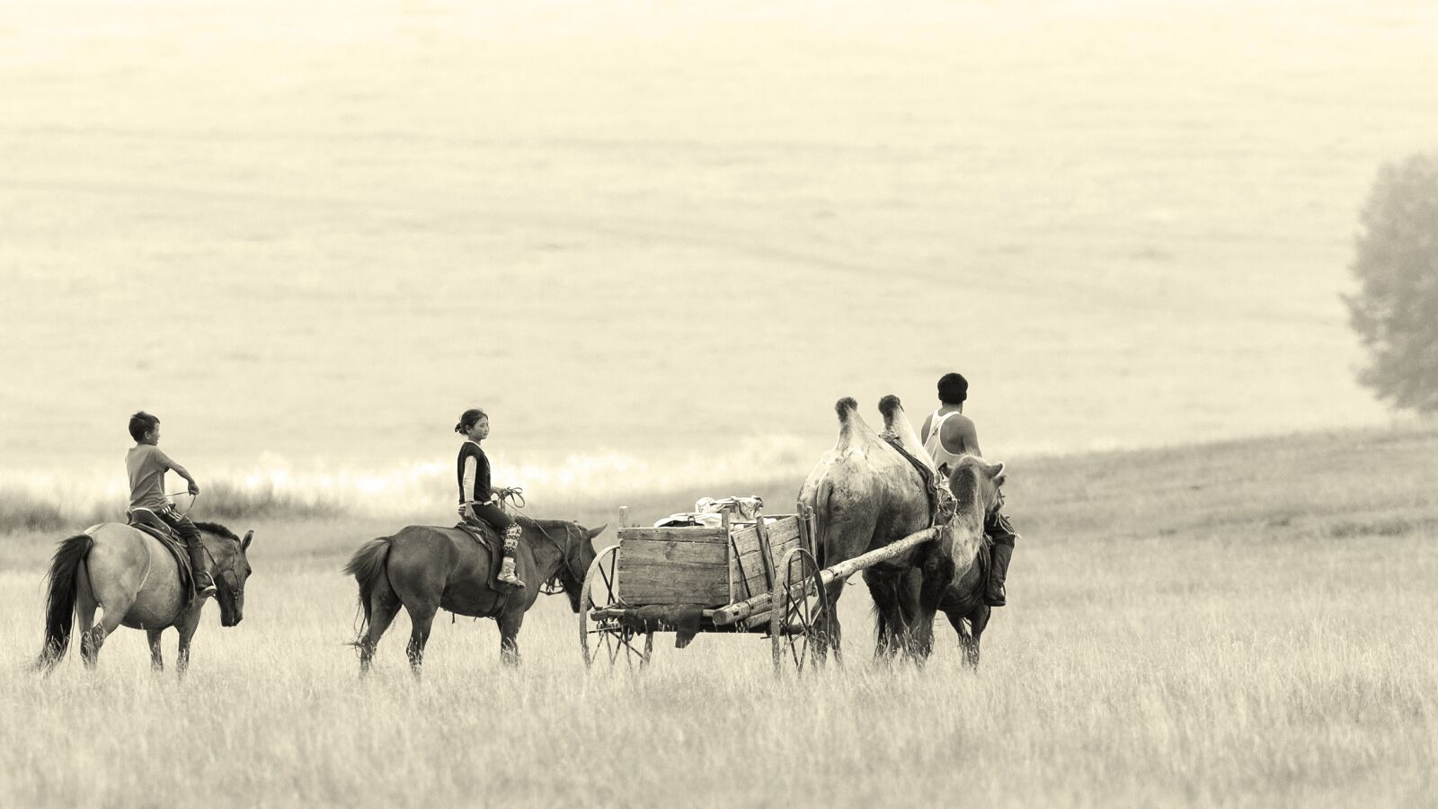 Canon EF 500mm F4L IS USM sample photo. Landscape, mongolia, bayan ovoo photography