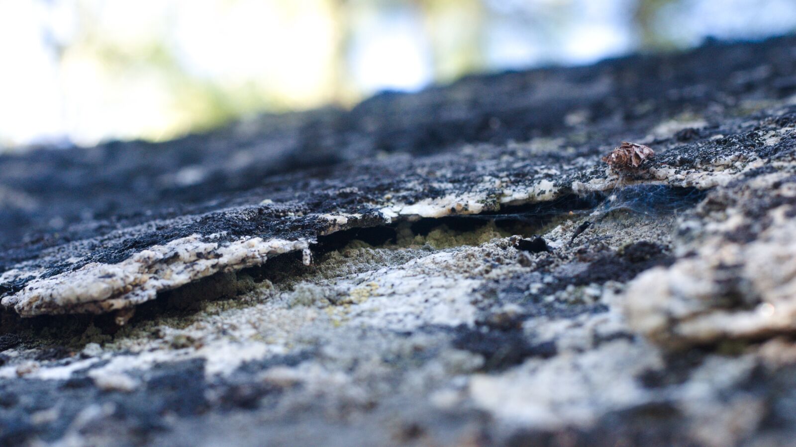 Nikon D7000 sample photo. Rock, hollow, crack photography