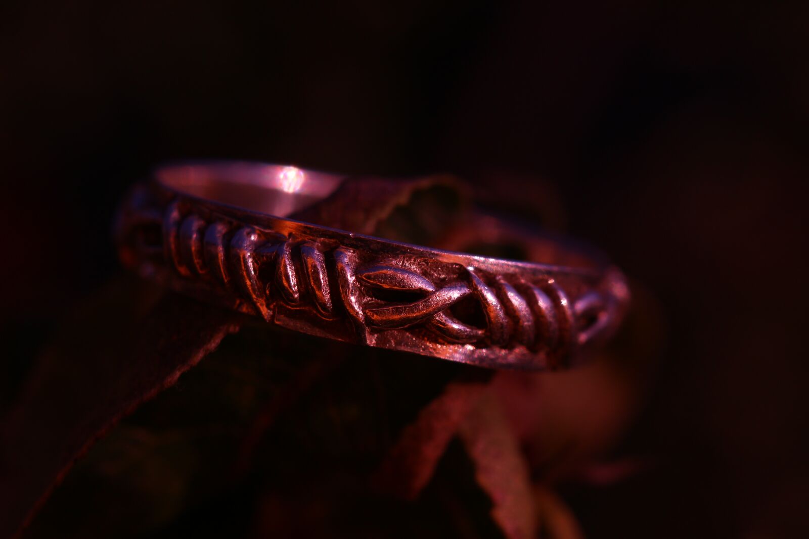 Canon EOS 100D (EOS Rebel SL1 / EOS Kiss X7) sample photo. Ring, silver ring, jewellery photography