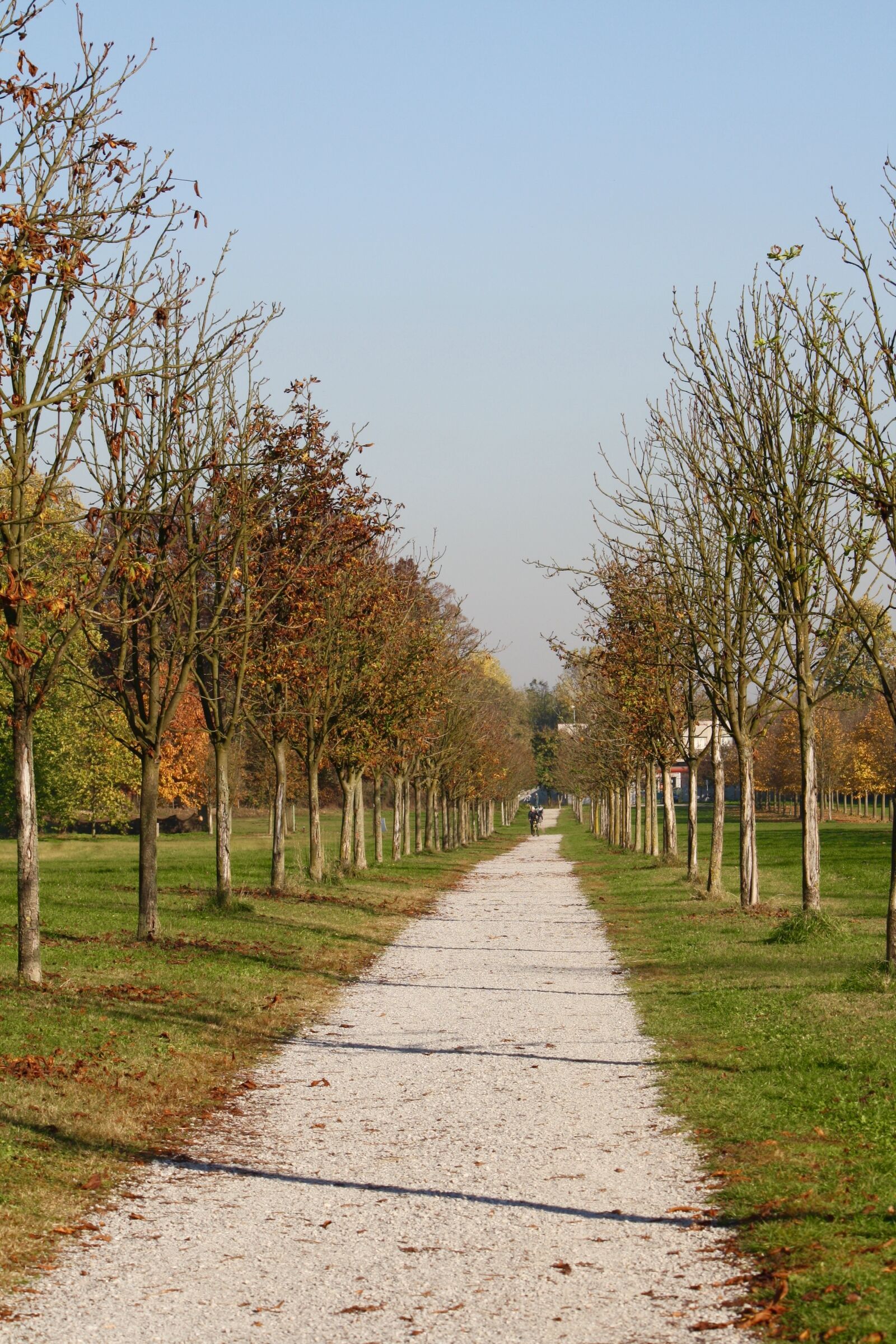 Canon EOS 1000D (EOS Digital Rebel XS / EOS Kiss F) sample photo. Viale, autumn, park photography