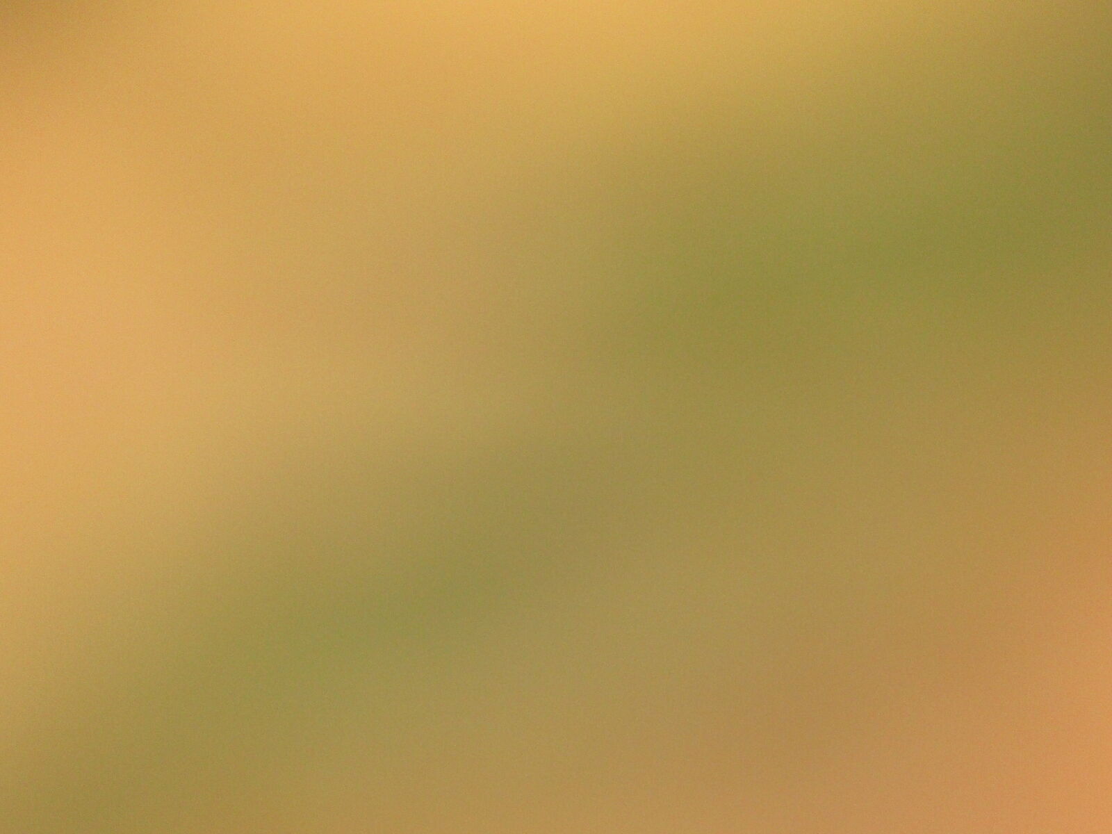 Canon PowerShot SX410 IS sample photo. Background, blur, blur, background photography