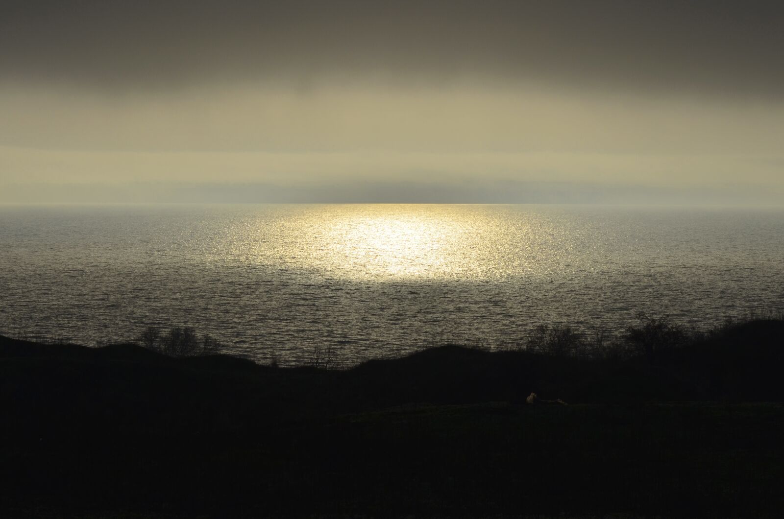 Nikon D5100 sample photo. Evening, water, sunset photography