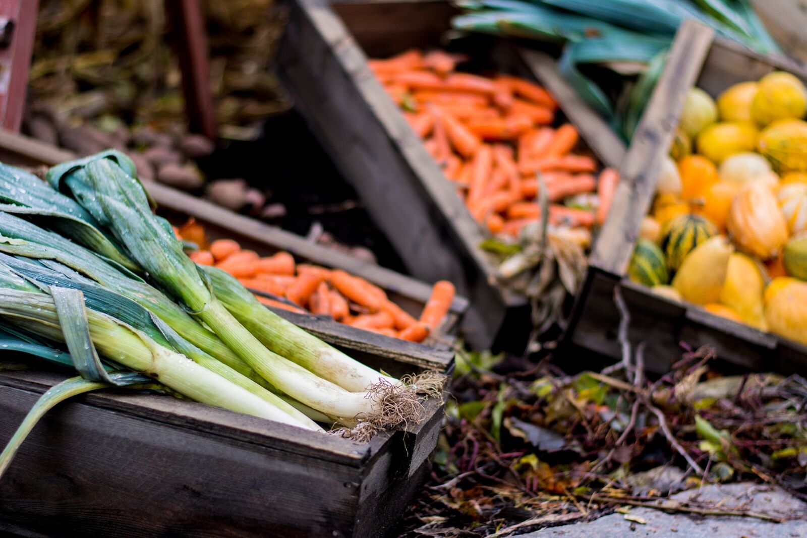 Nikon D7100 sample photo. Halloween, autumn, vegetables photography