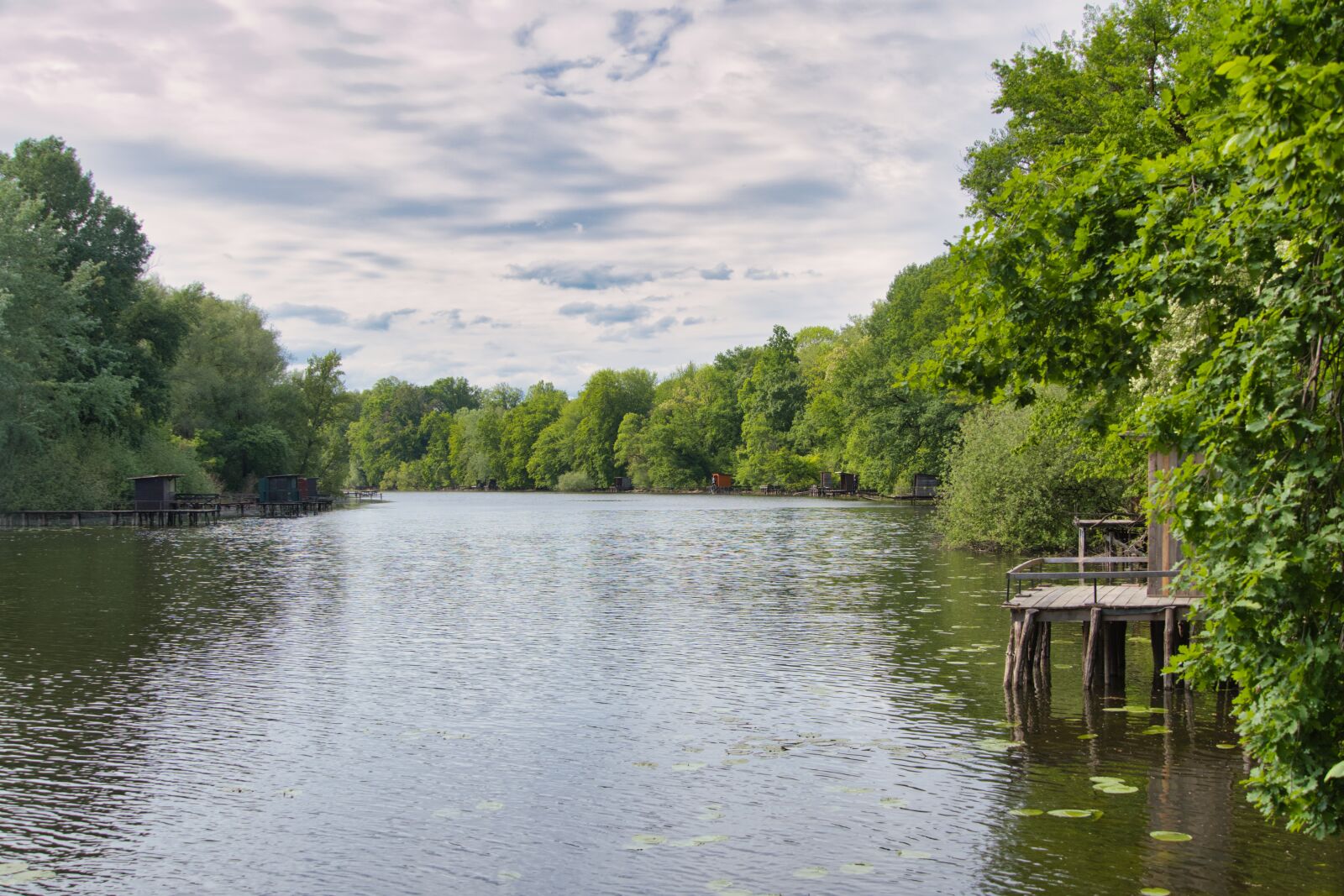 Sony a6400 sample photo. Rheinauen, rhine, landscape photography