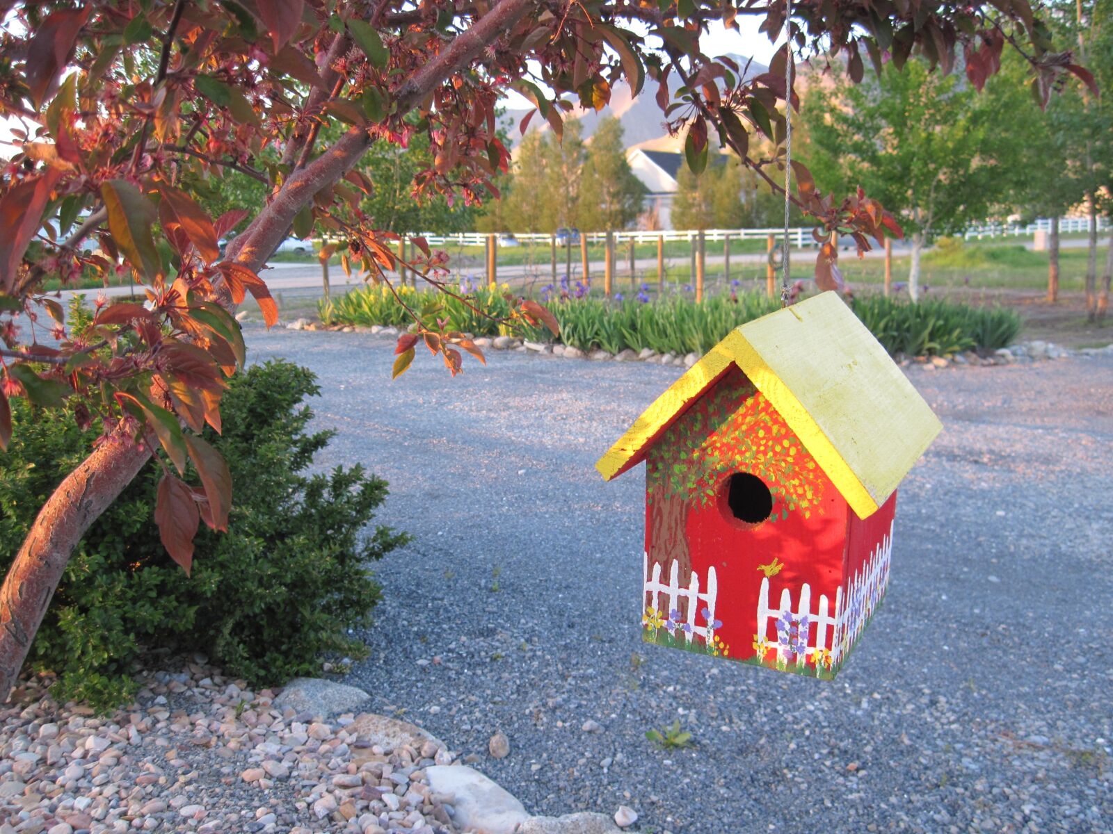 Canon PowerShot A1100 IS sample photo. Bird house, country whimsy photography