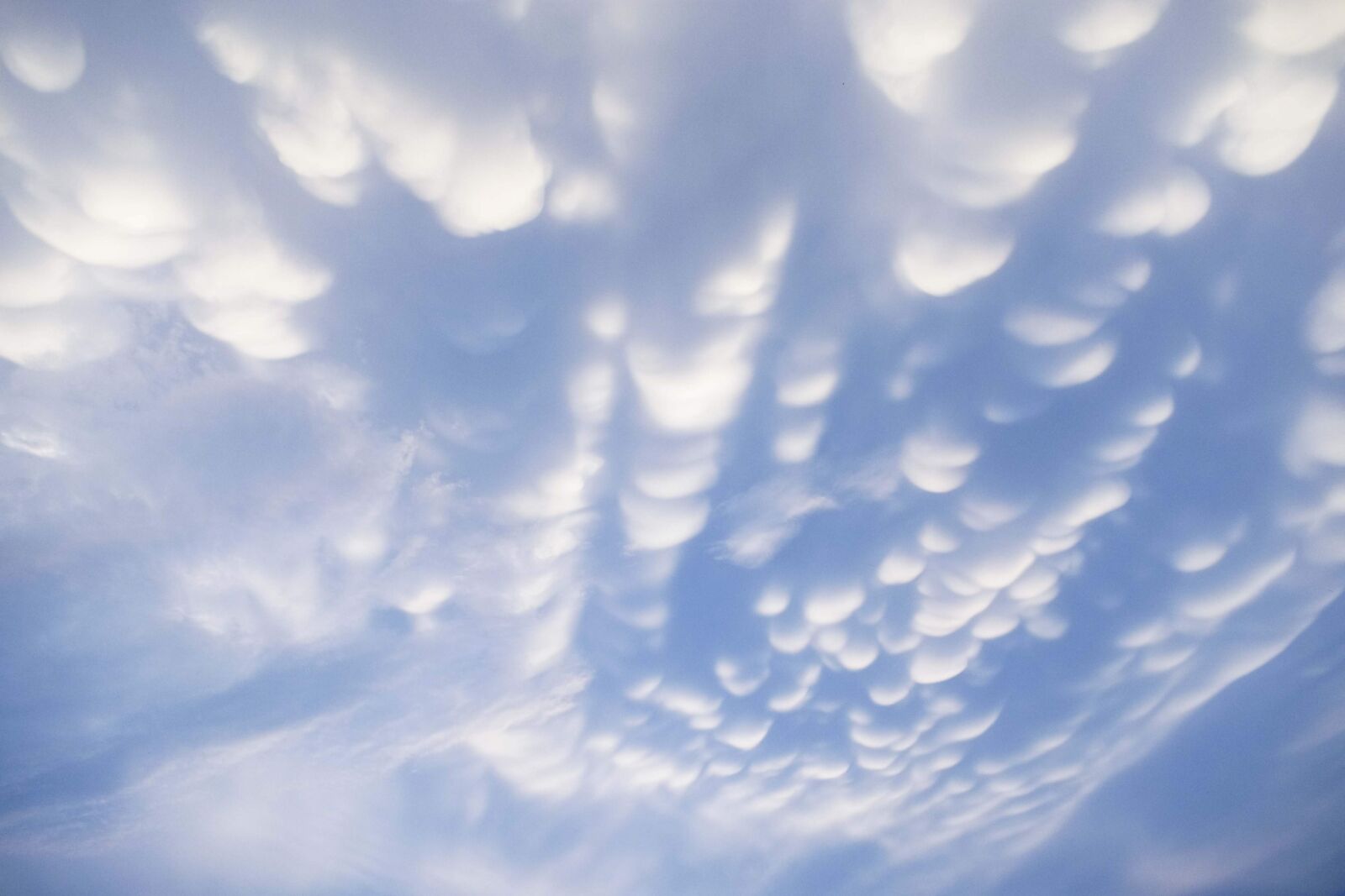 Nikon D3400 sample photo. Mammatus clouds, mammatus, cloud photography