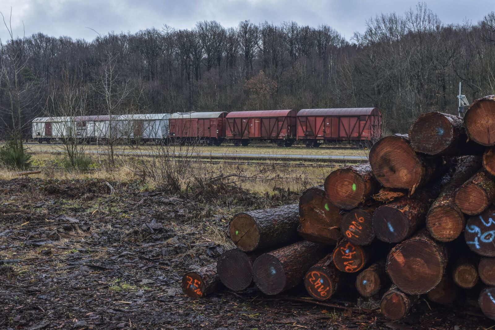Nikon D3300 sample photo. Lost places, wagon, railway photography