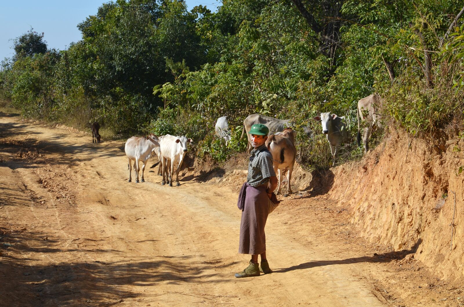 Nikon D7000 sample photo. Bauer, beef, yak photography
