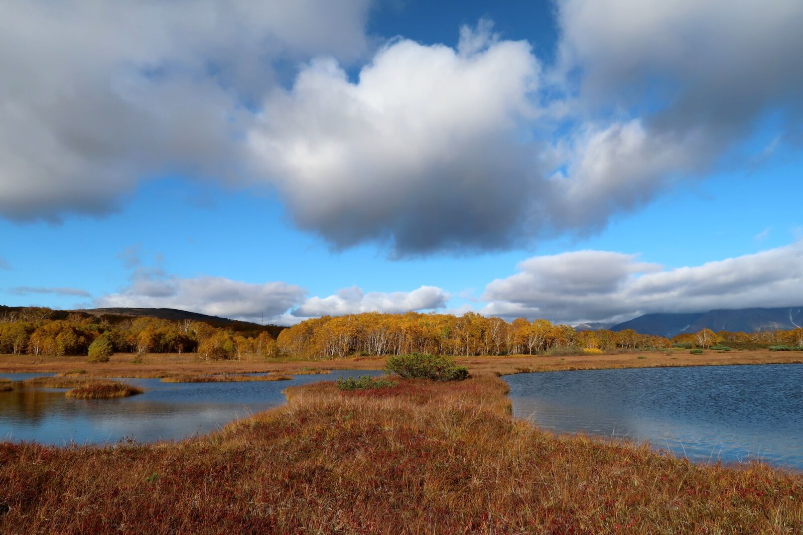 Canon PowerShot G7 X Mark II sample photo. Autumn, lake, forest photography