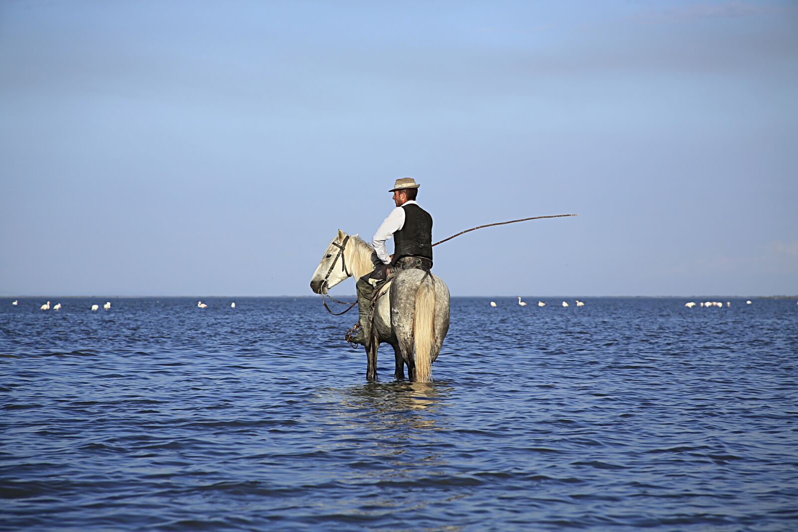 Canon EOS 5D Mark III sample photo. Gardian, horse, horses photography
