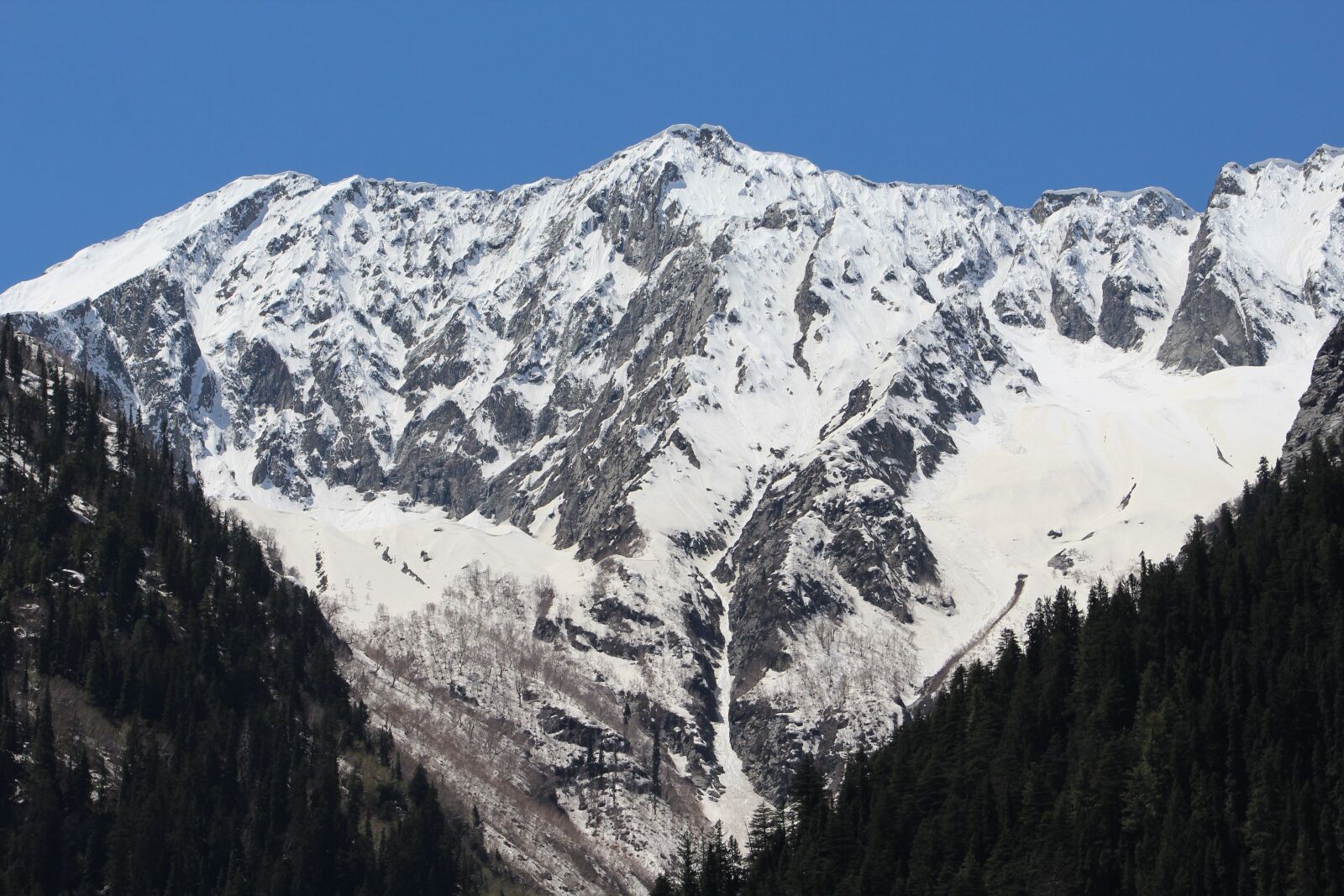 Canon EOS 1200D (EOS Rebel T5 / EOS Kiss X70 / EOS Hi) sample photo. Mountains, snow, forest photography