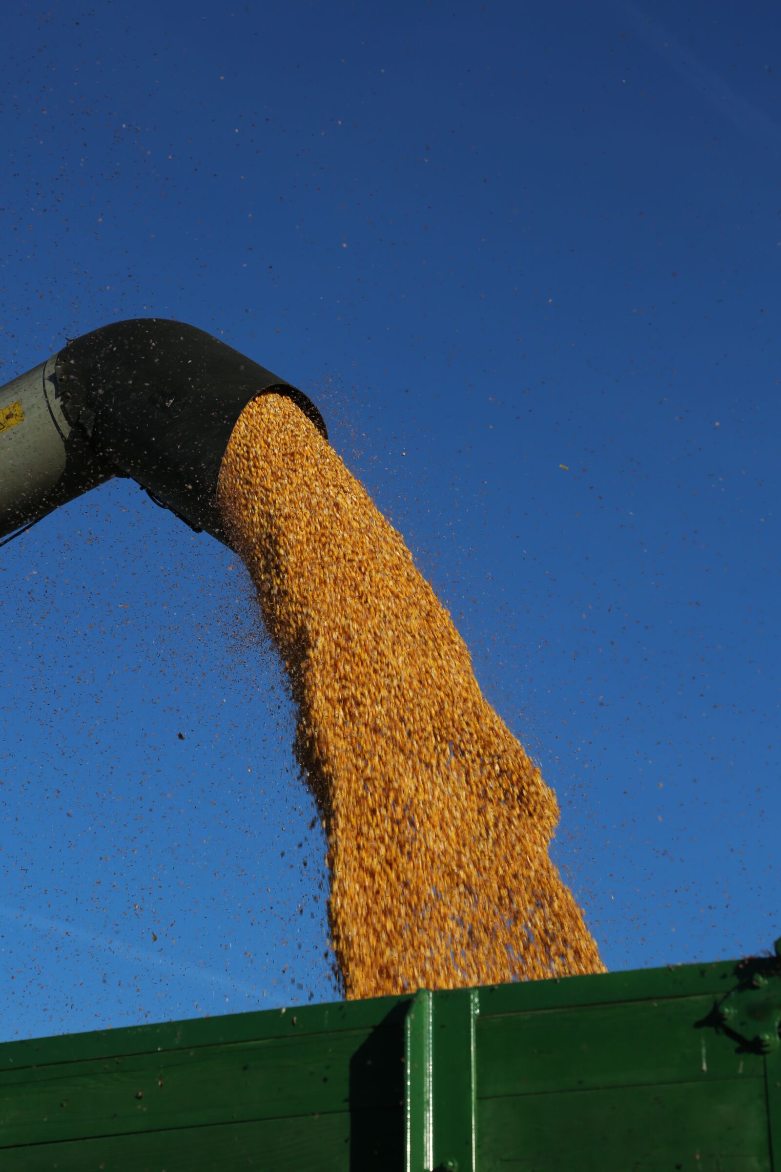 Canon EF 24-105mm F4L IS USM sample photo. Harvest, corn, agriculture photography