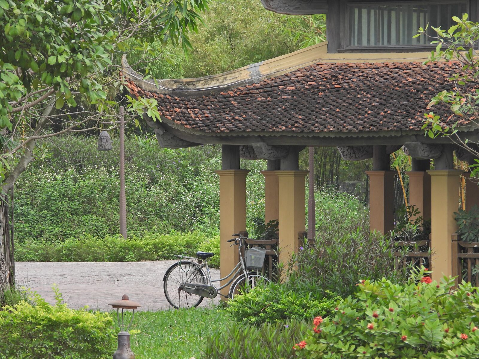 Nikon Coolpix P1000 sample photo. Vietnam, bike, view photography