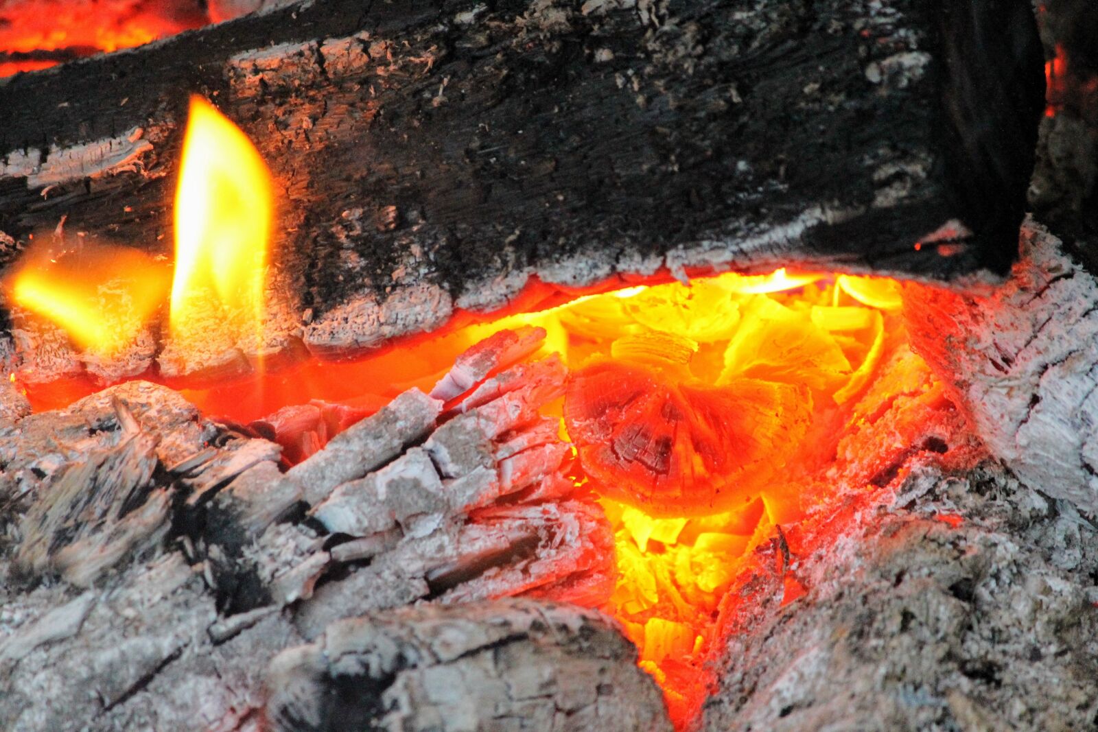 Canon EOS 1100D (EOS Rebel T3 / EOS Kiss X50) sample photo. Fire, coal, ashes photography