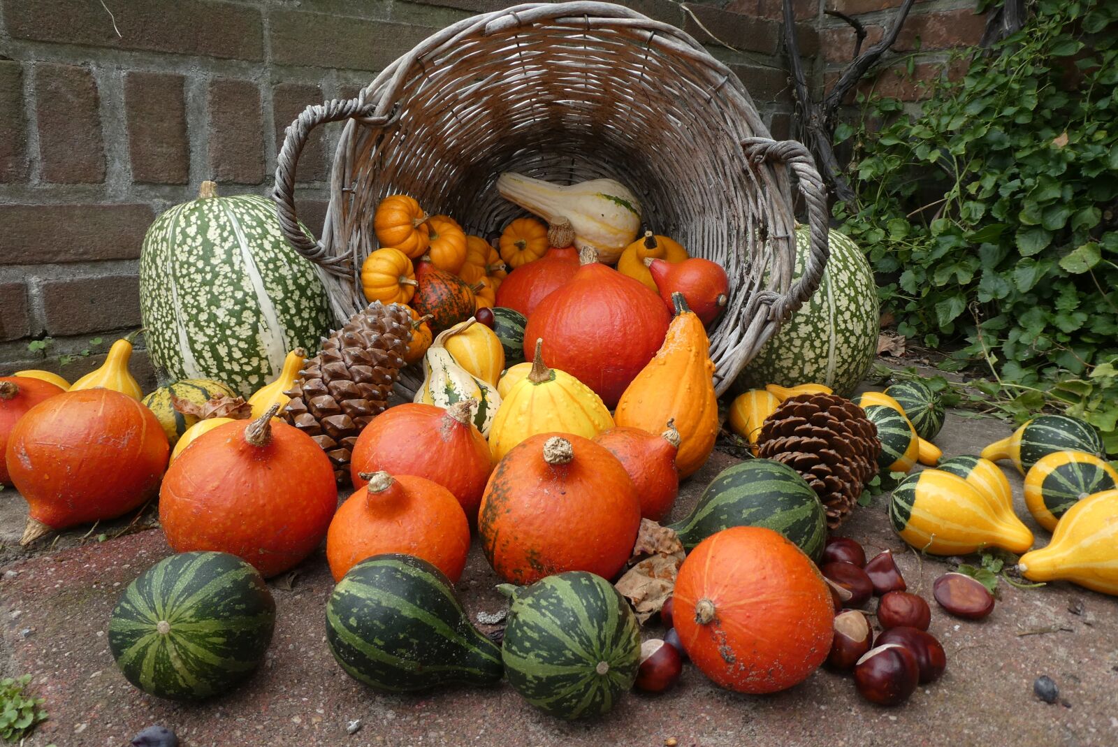 Panasonic Lumix DC-ZS70 (Lumix DC-TZ90) sample photo. Pumpkins, basket, autumn photography