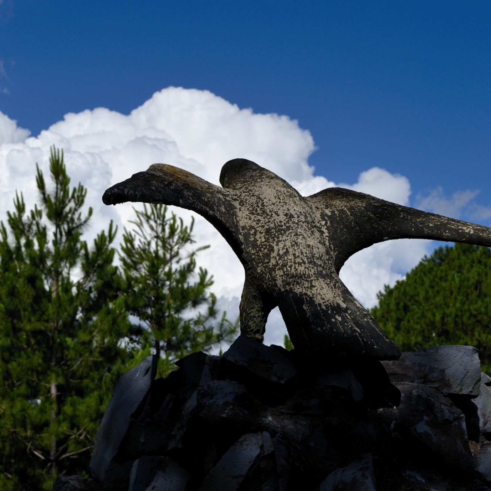 Nikon D5100 sample photo