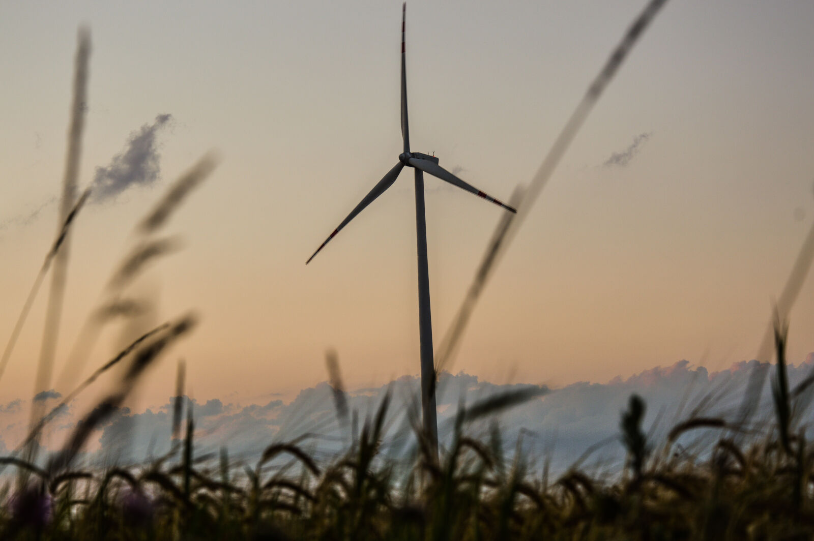 Nikon D3200 sample photo. Windmill photography