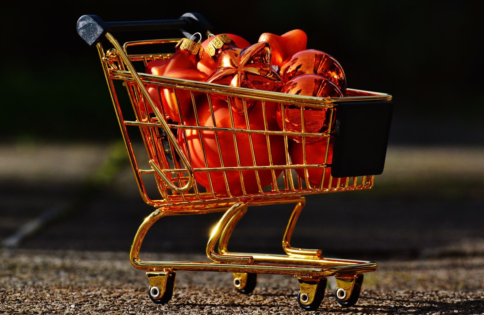 Nikon D3200 sample photo. Christmas shopping, shopping cart photography