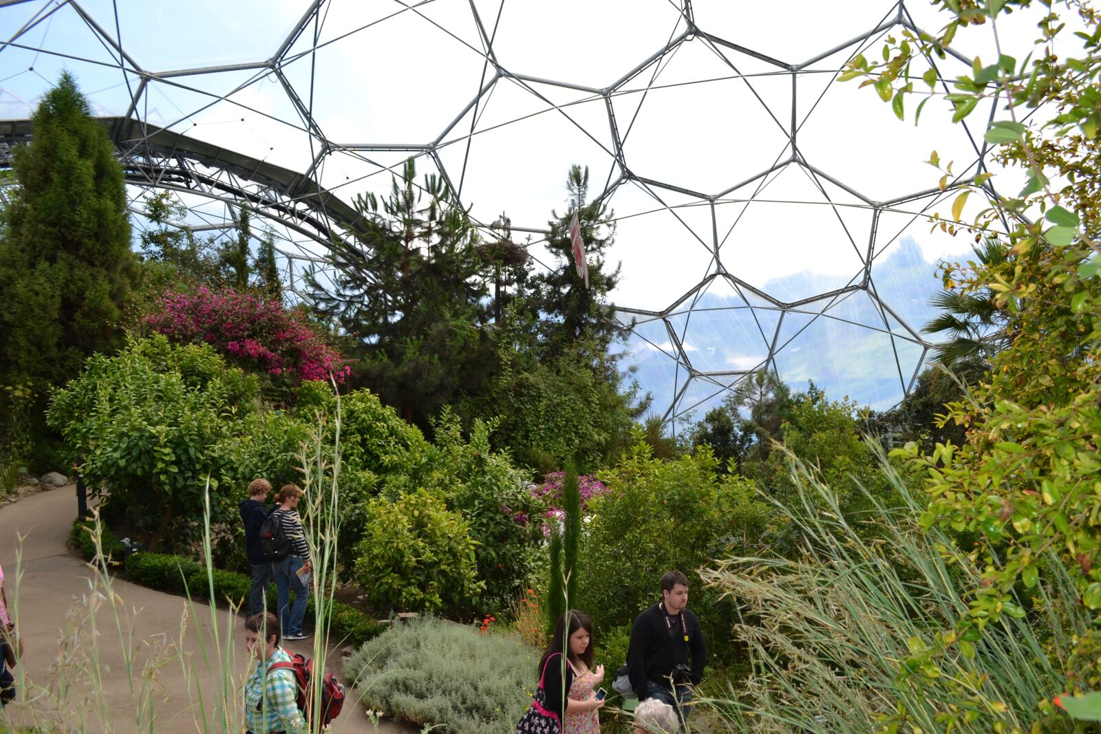 Nikon D3100 sample photo. Eden, project, cornwall photography