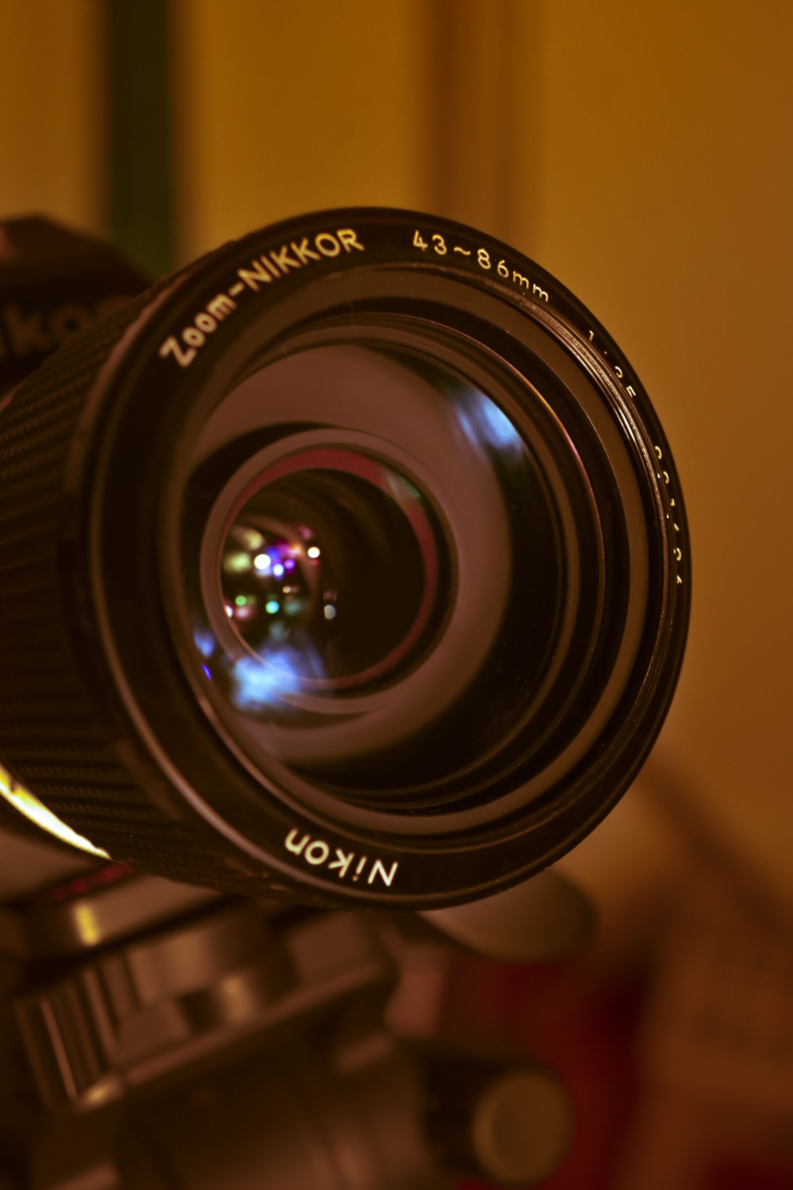 Nikon D7200 sample photo. Nikon, lents, camera photography