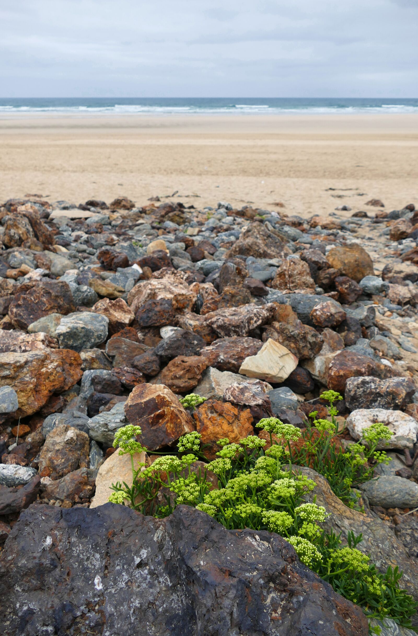Panasonic Lumix DMC-FZ1000 sample photo. Penhale sands, cornwall, landscape photography