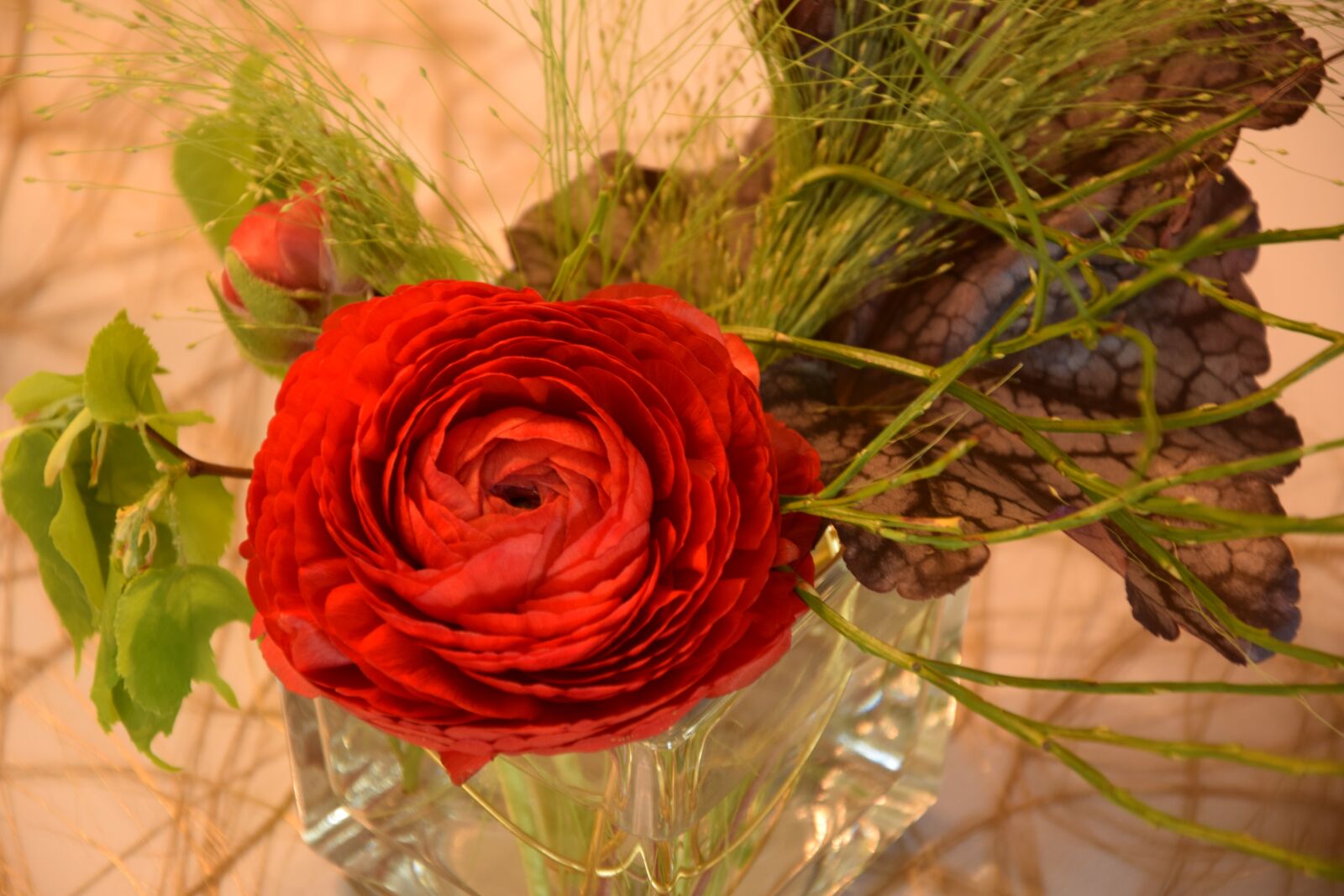 Nikon D3300 sample photo. Deco, flower, colorful photography