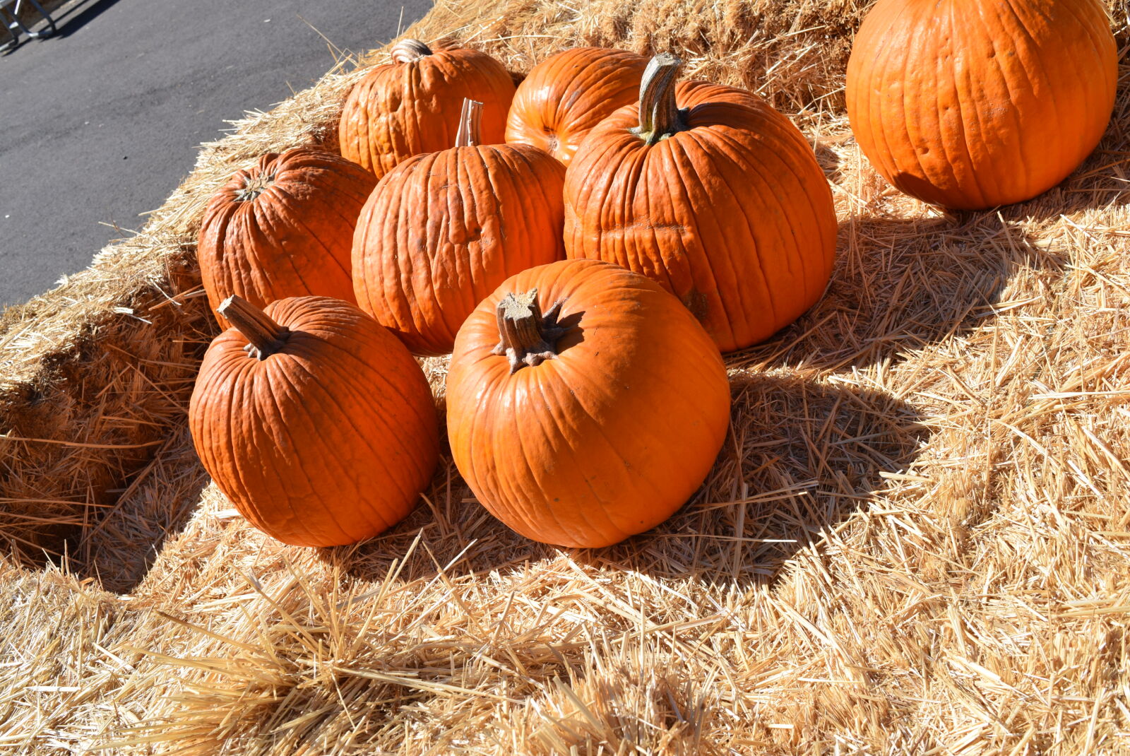 Nikon D3300 sample photo. Autumn, fall, pumpkin photography