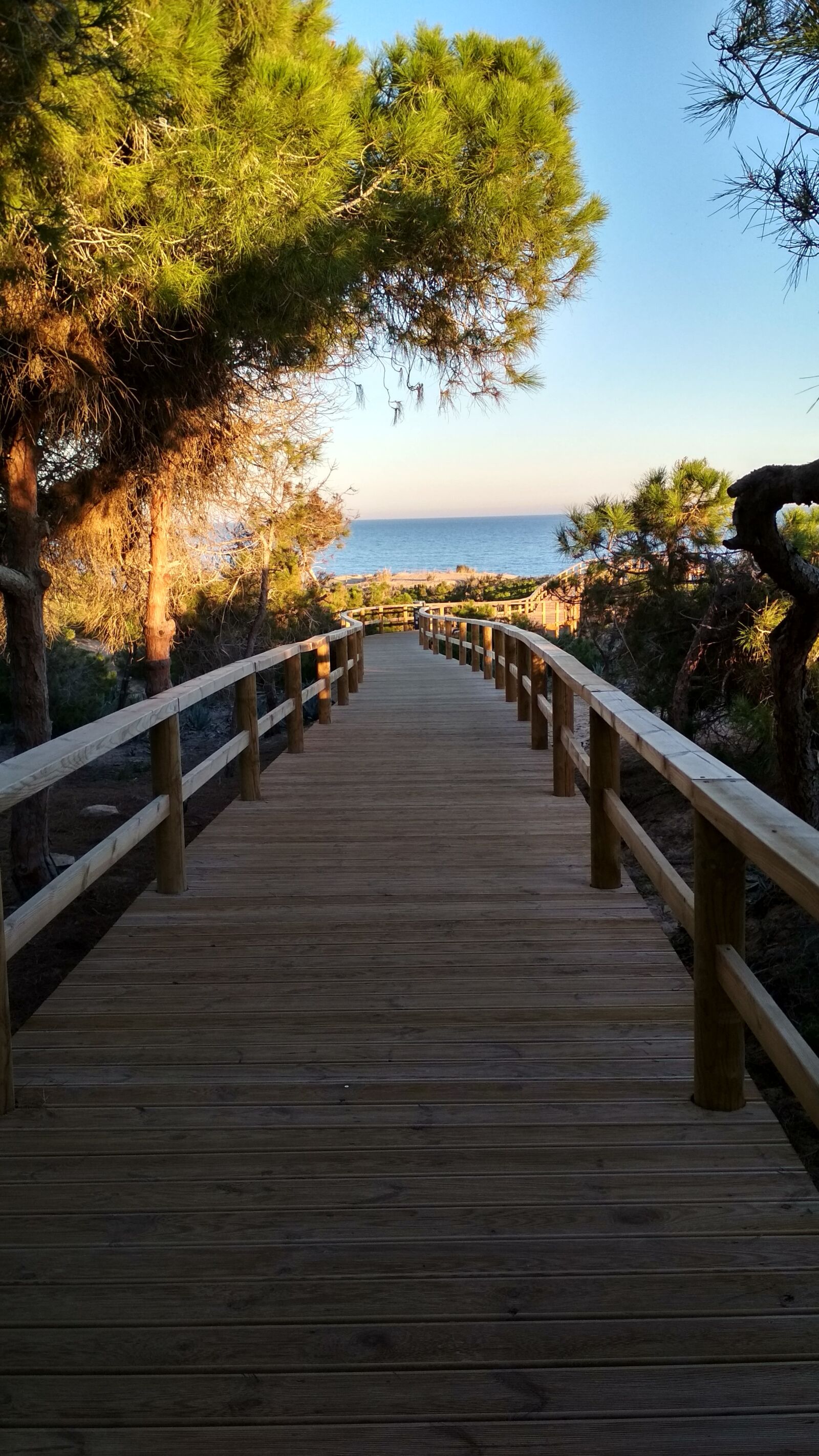 Xiaomi Redmi 4X sample photo. Sea, beach, tree photography