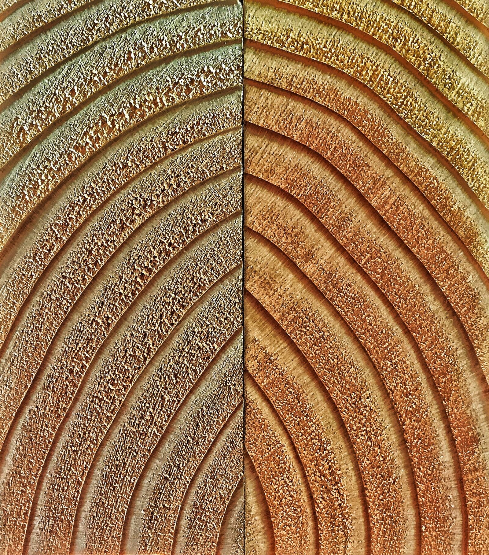 Apple iPhone 6 sample photo. Wood, grain, wooden photography