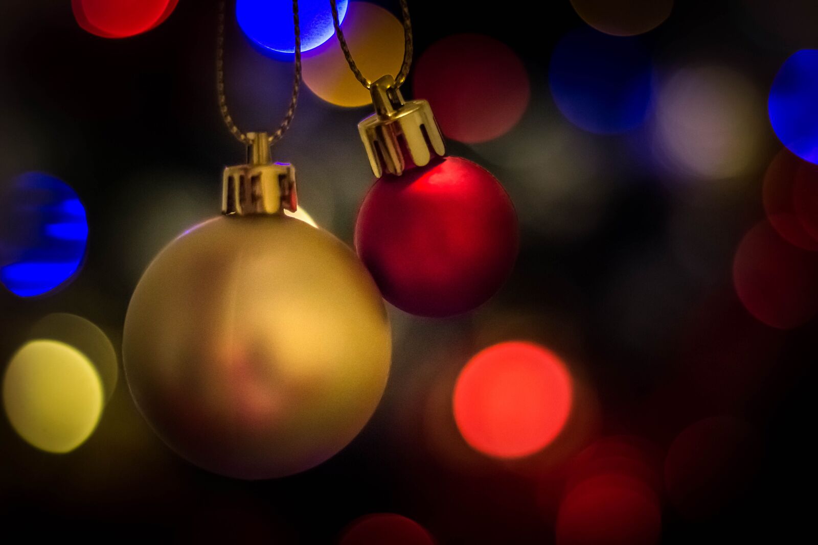 Canon EOS 600D (Rebel EOS T3i / EOS Kiss X5) + Canon EF 50mm F1.8 STM sample photo. Christmas, light, glitter photography