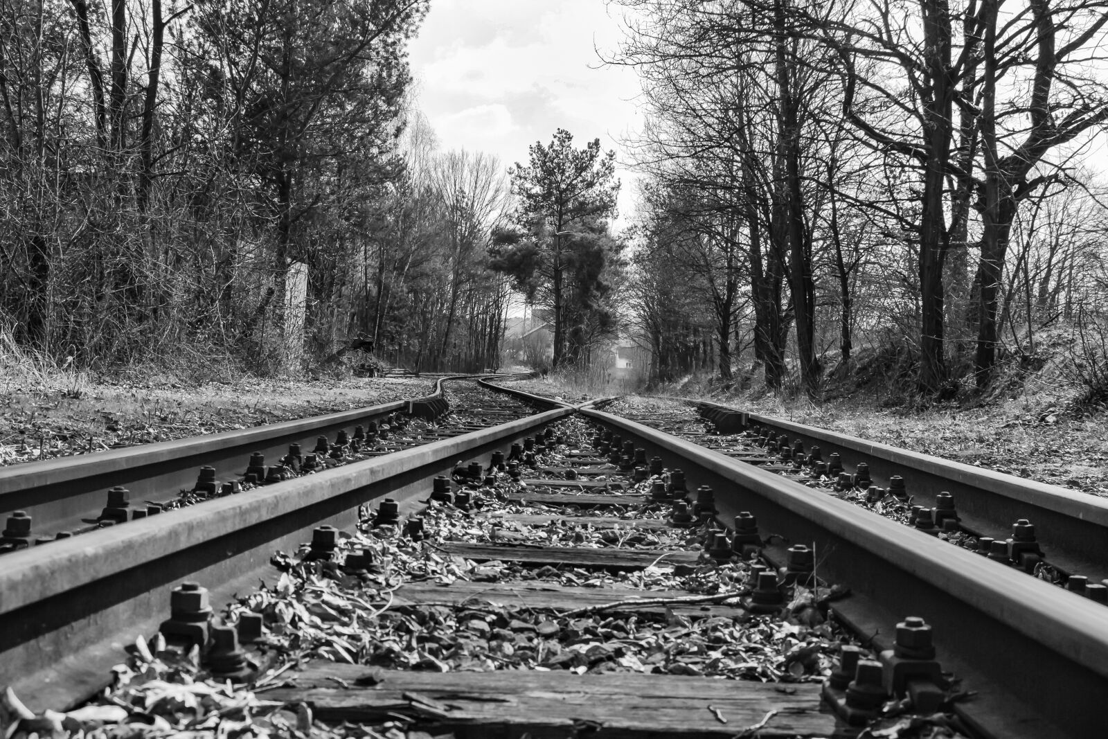 Canon EOS 700D (EOS Rebel T5i / EOS Kiss X7i) sample photo. Railway, railway line, train photography