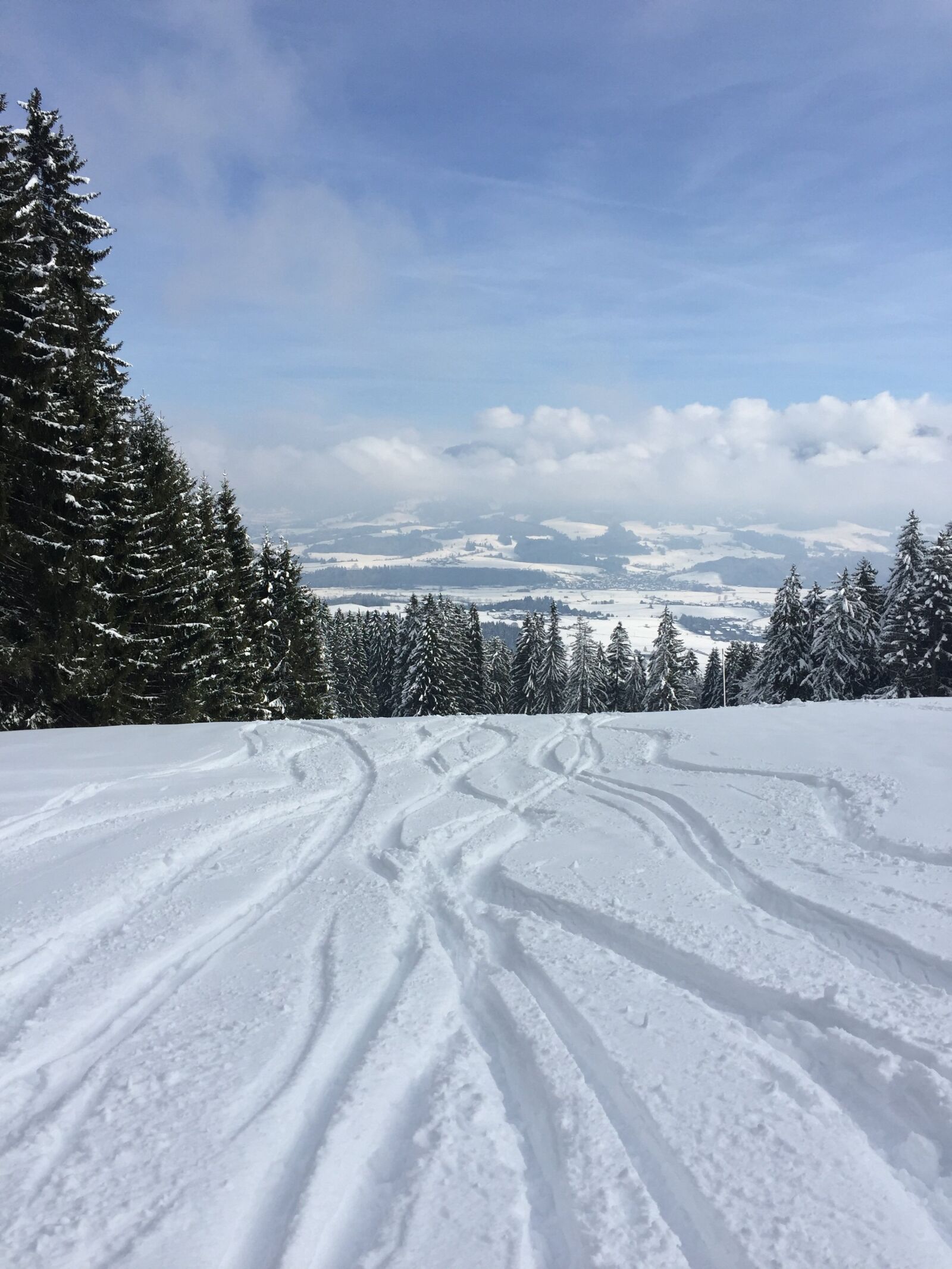 Apple iPhone 6 sample photo. Winter, snow, tracks in photography
