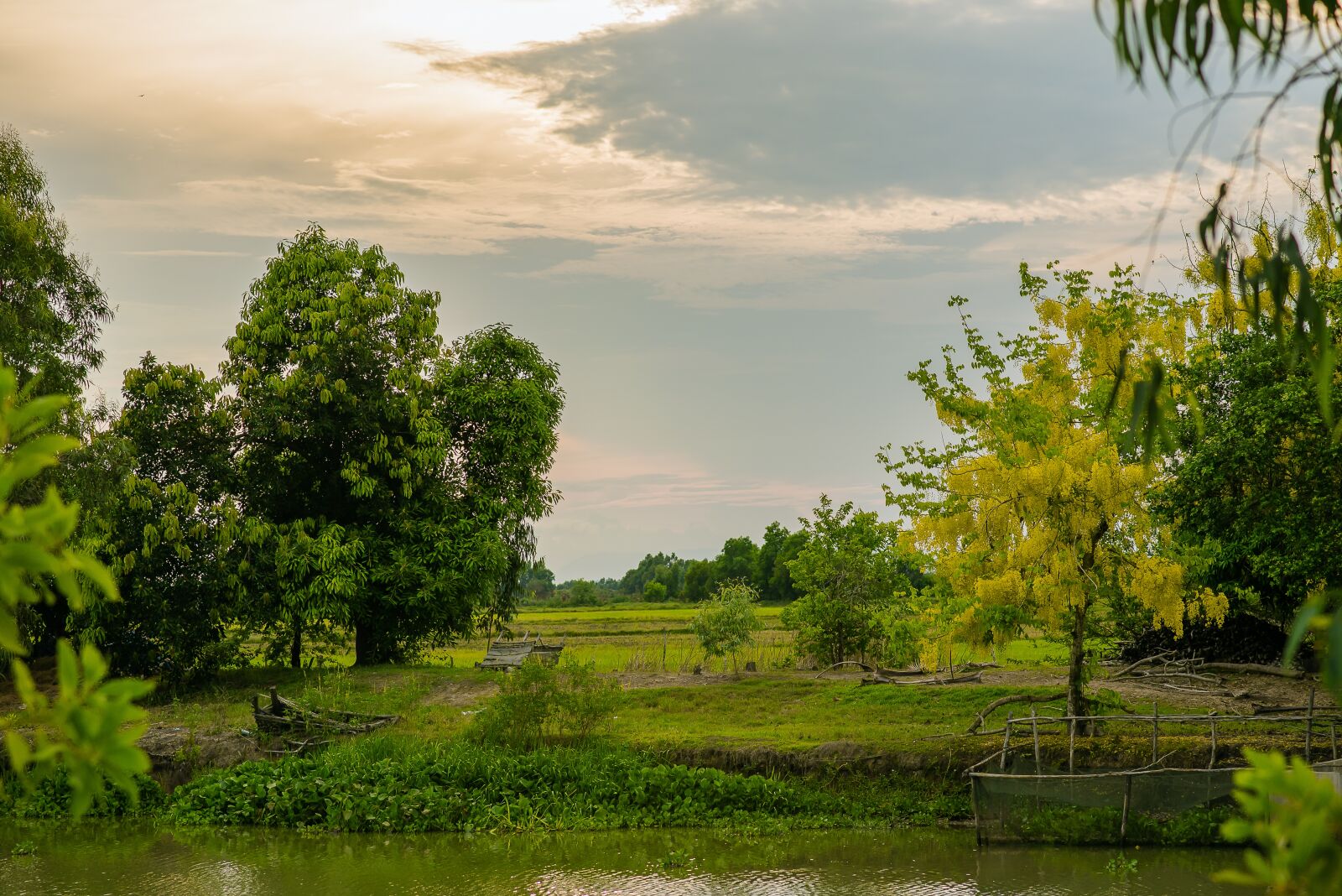 Nikon D750 sample photo. Countryside, tree, road photography
