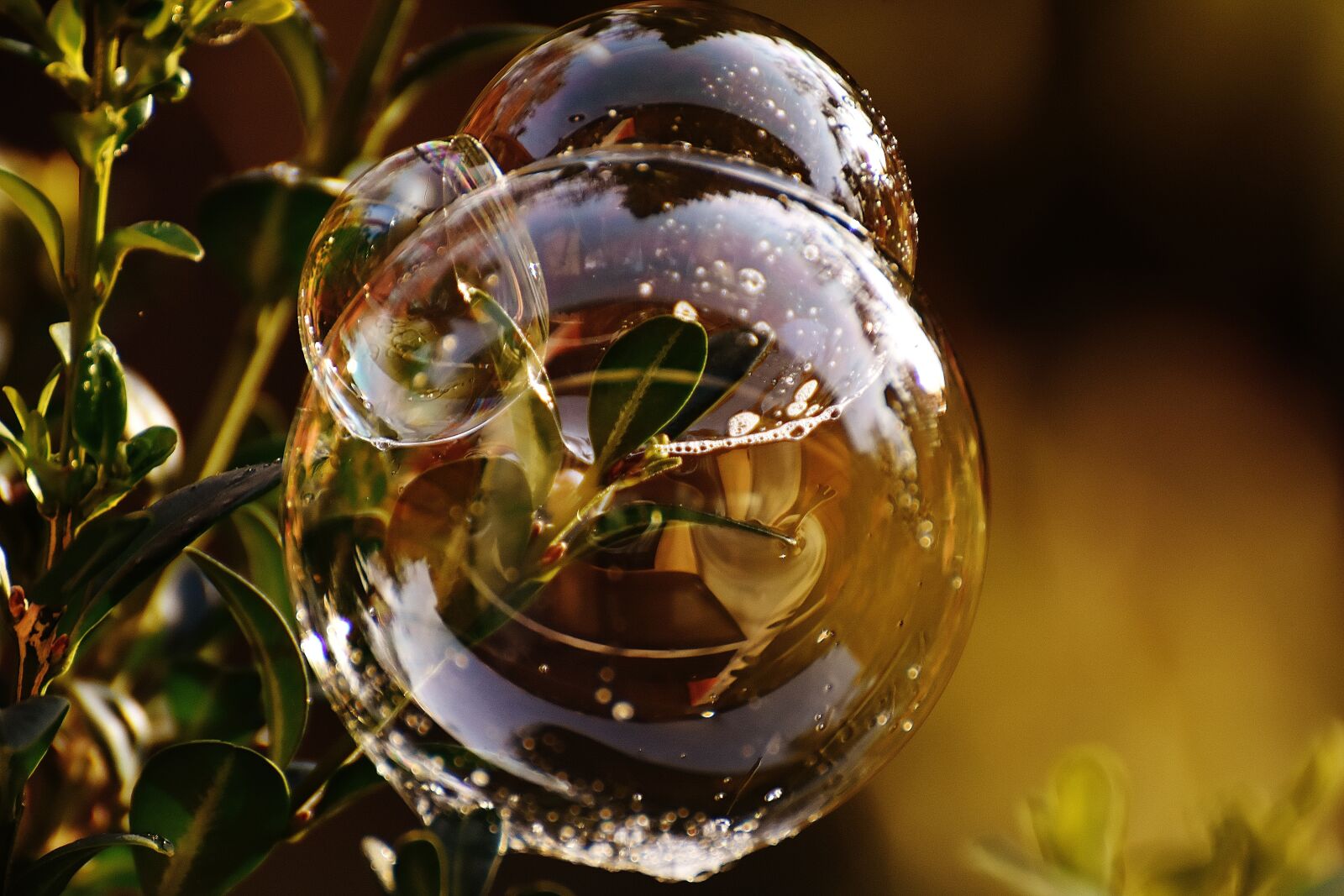 Nikon D7200 sample photo. Soap bubble, colorful, buxbaum photography