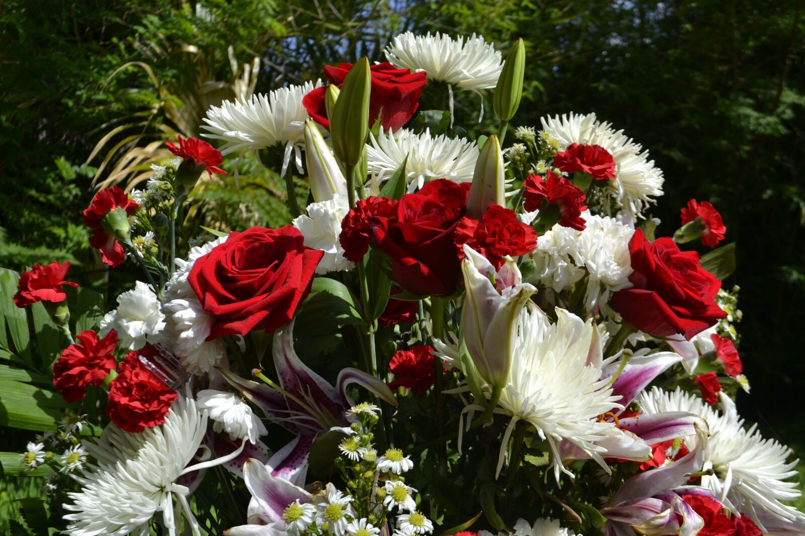 Nikon D3100 sample photo. Flower, nature, flora photography