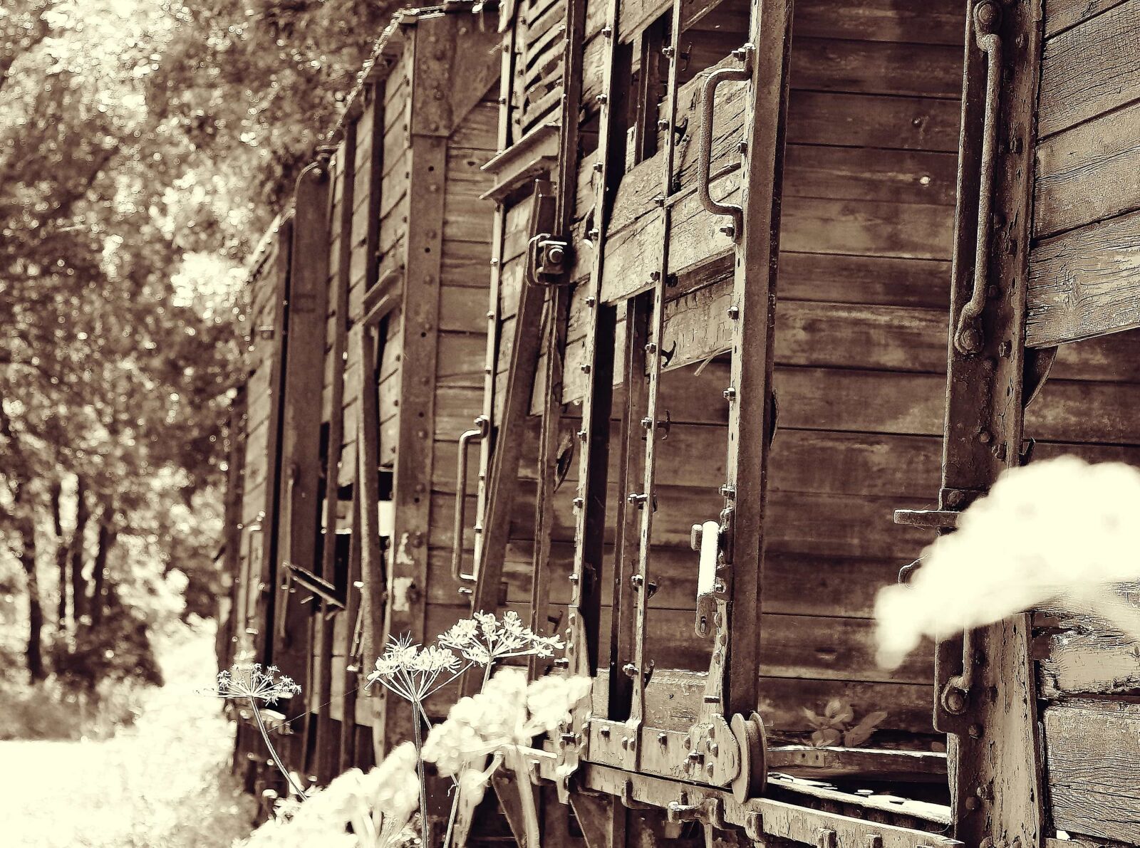 Canon EOS 550D (EOS Rebel T2i / EOS Kiss X4) sample photo. Monochrome, wagon, rail, transport photography