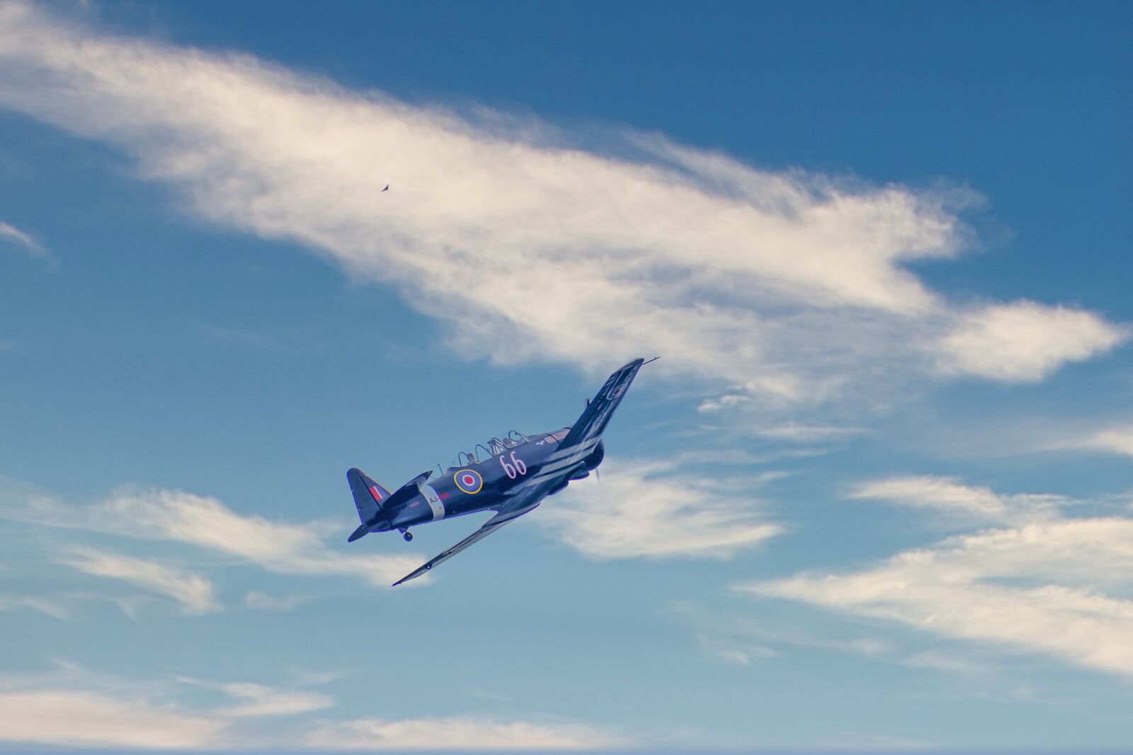 Nikon D7500 sample photo. Ww2 fighter plane, piston photography