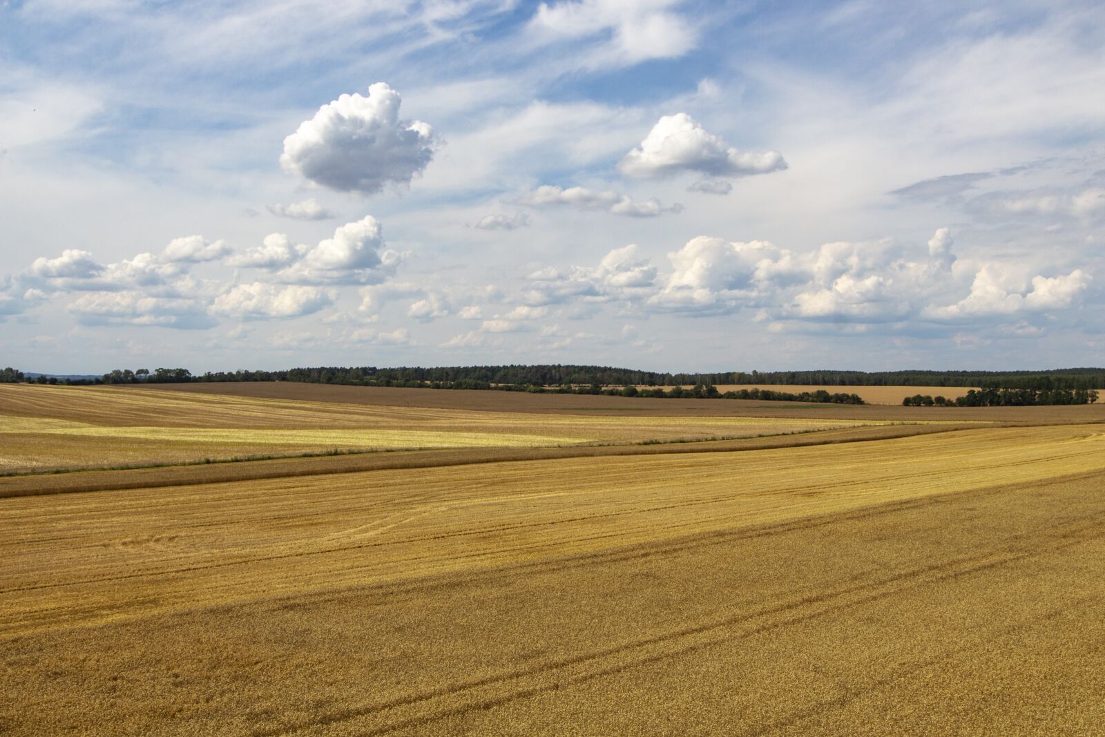 Tokina AT-X Pro 12-24mm F4 (IF) DX sample photo. Summer, landscape, field photography
