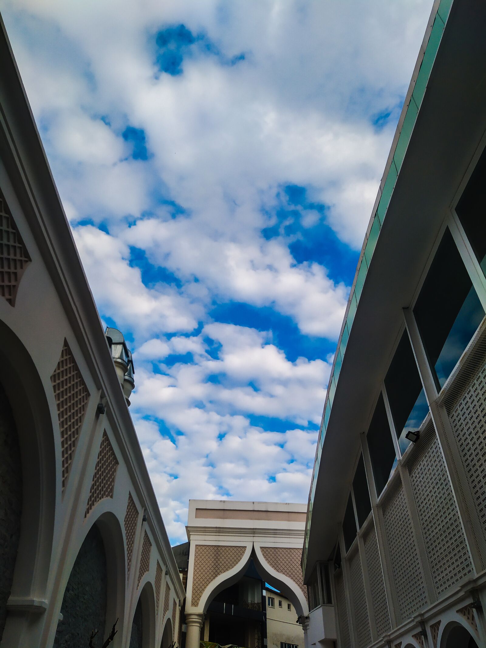 Xiaomi Redmi Note 7 sample photo. Range, life, cami photography