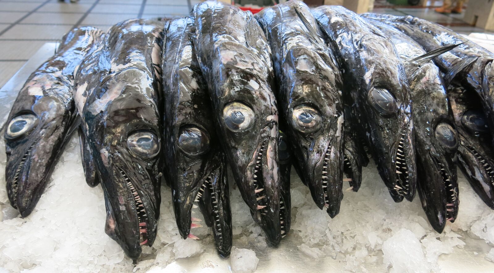 Canon PowerShot G15 sample photo. Fresh, fish, eyes photography